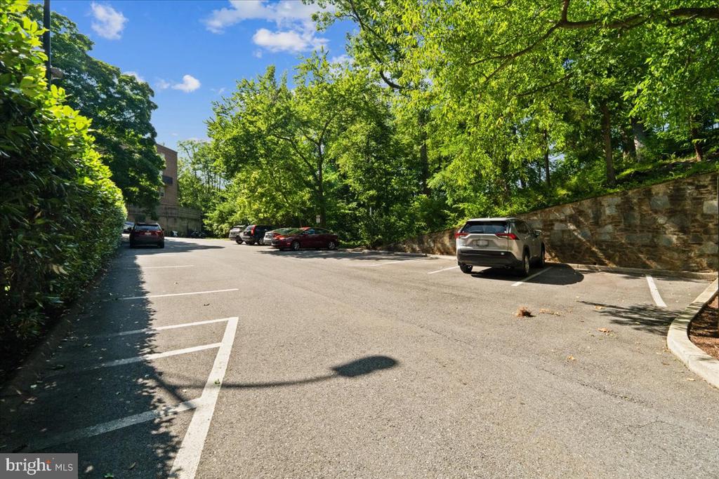4301 MASSACHUSETTS AVENUE NW Unit: 4011