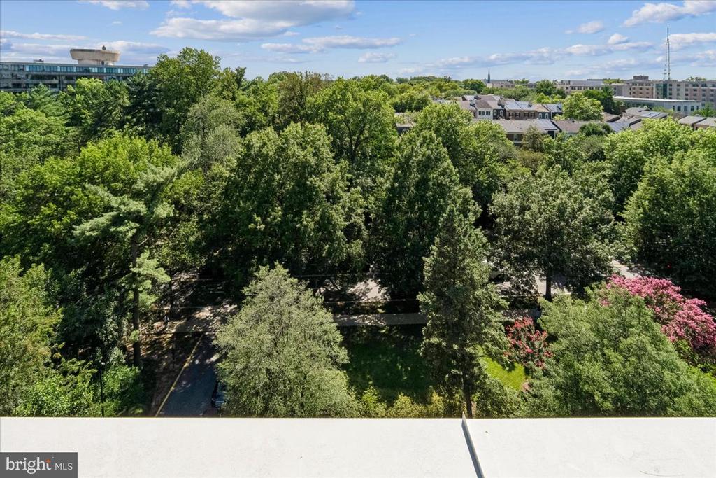 4301 MASSACHUSETTS AVENUE NW Unit: 4011