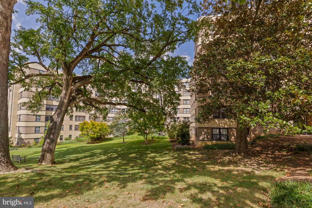 3901 CATHEDRAL AVENUE NW Unit: 220
