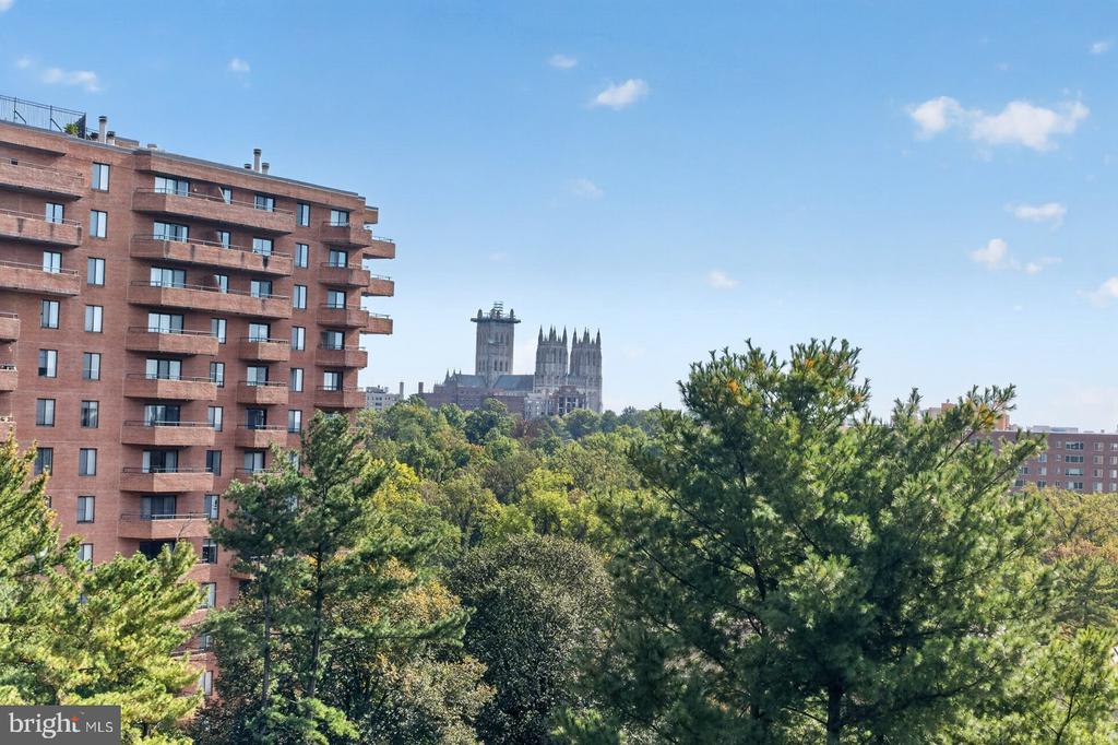 3101 NEW MEXICO AVENUE NW Unit: 816