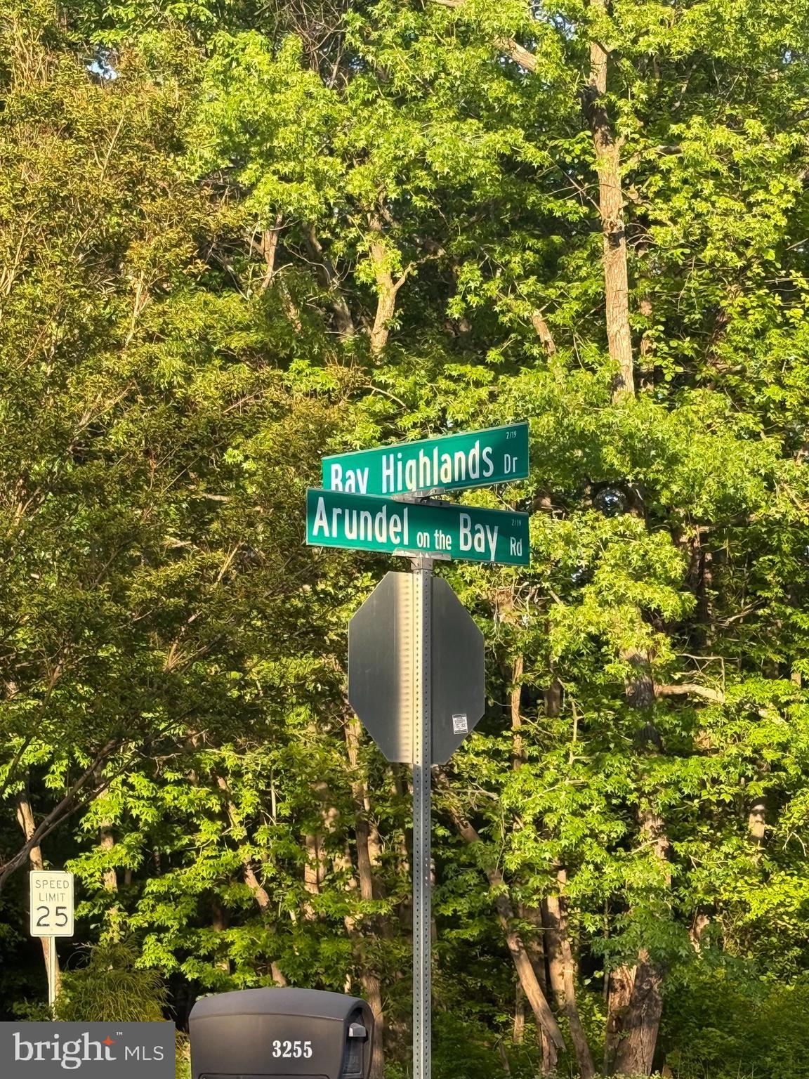 1407 CHESAPEAKE AVENUE