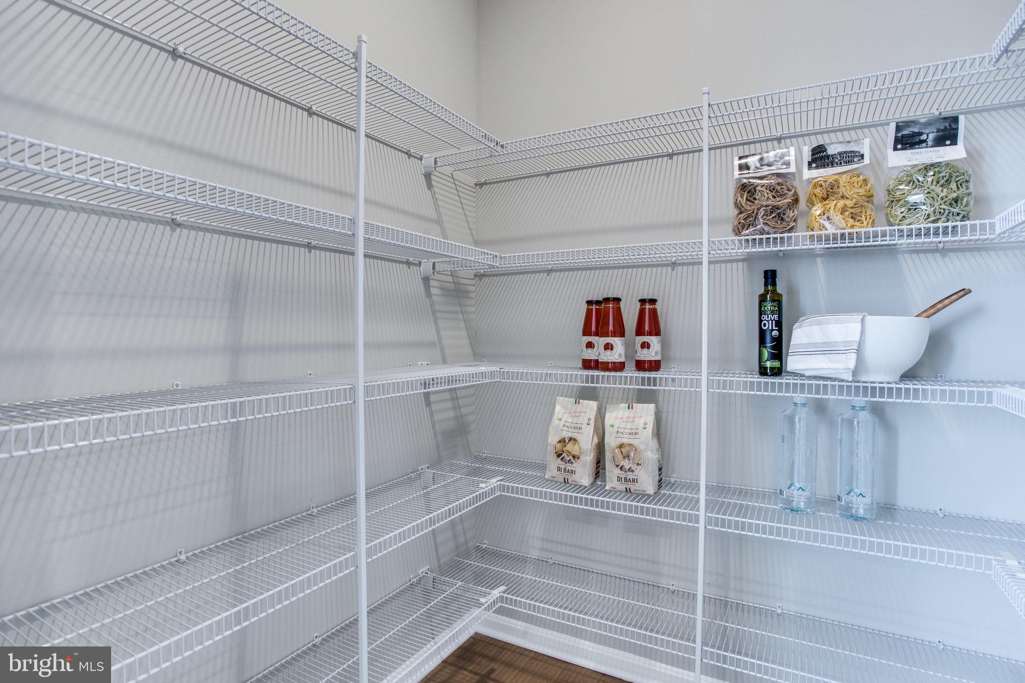 2558 HOPTON LANE LOT 251