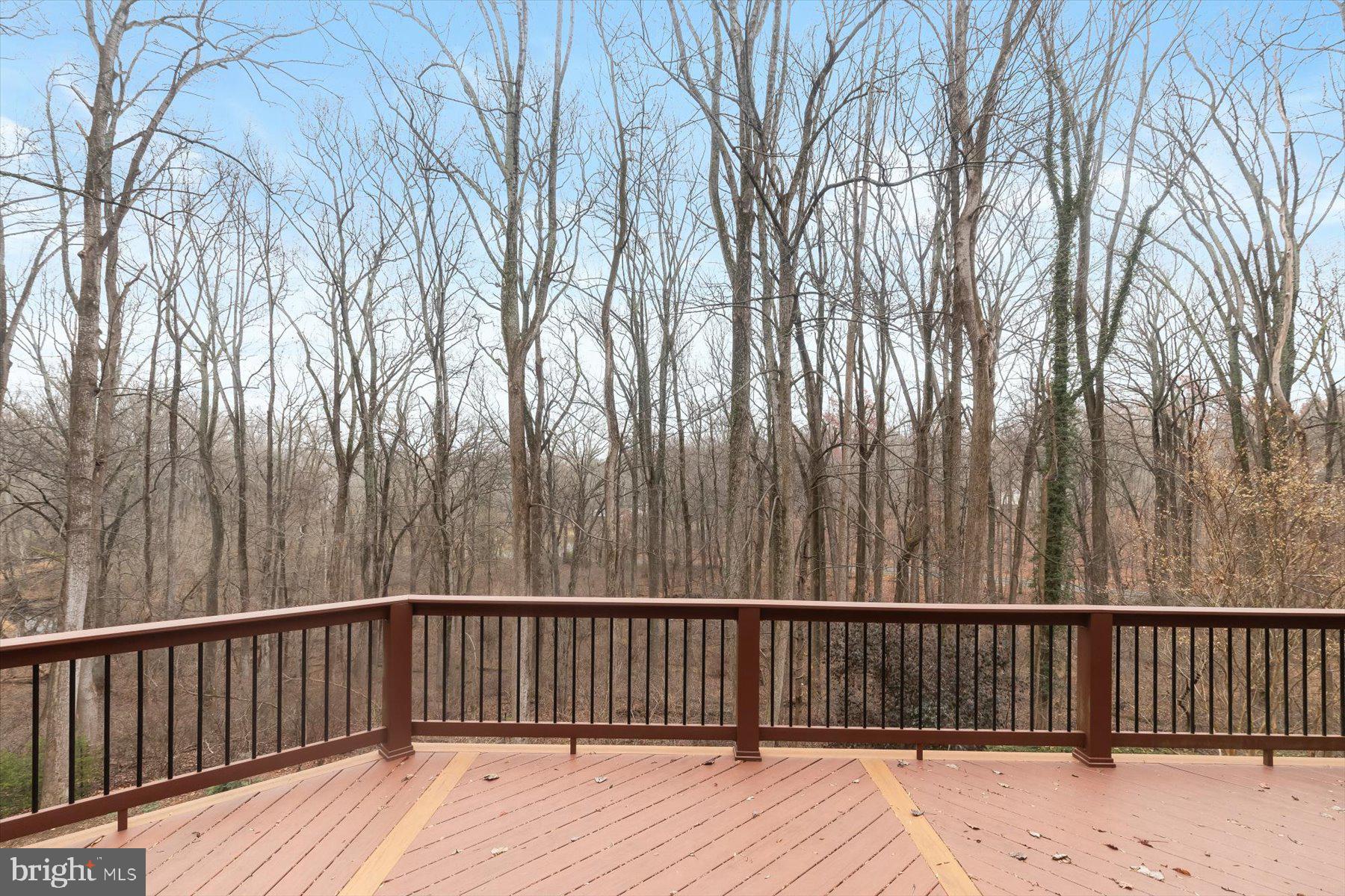 12400 TRIADELPHIA ROAD