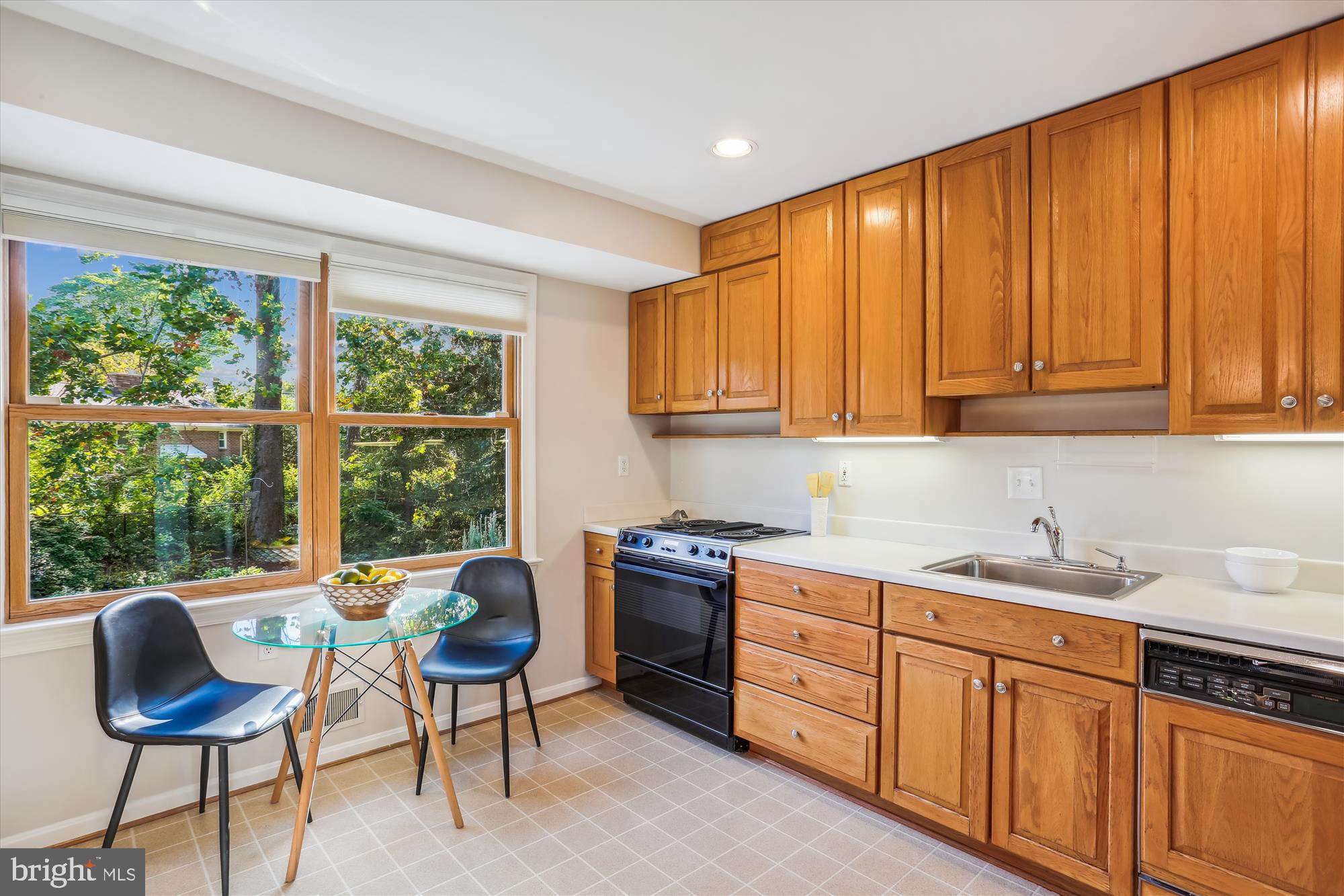 8523 FREYMAN DRIVE