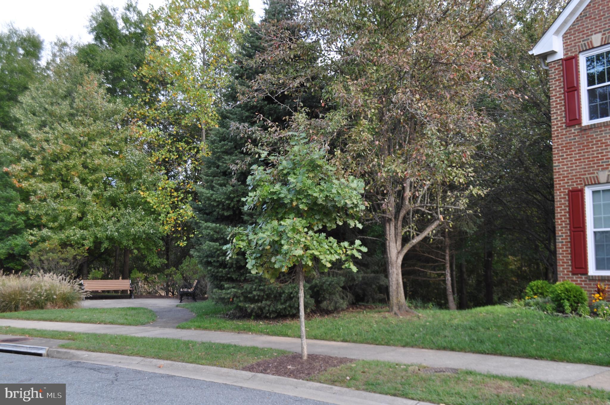 719 SUMMER WALK DRIVE