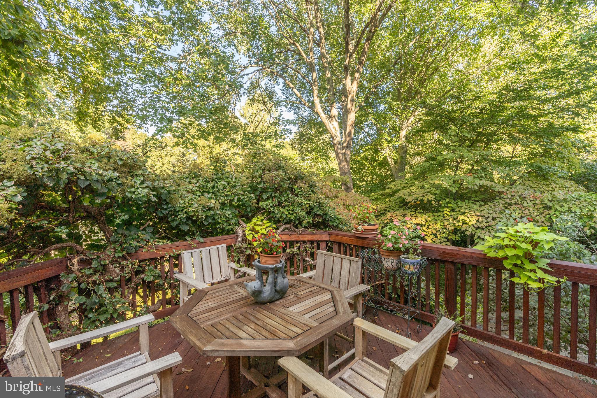 10116 WEATHERWOOD COURT