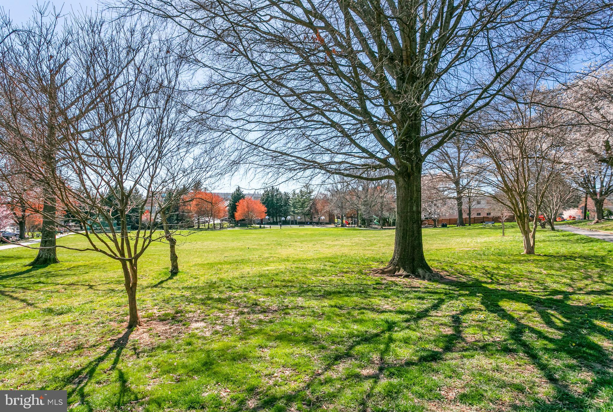 10530 WHEATLEY STREET