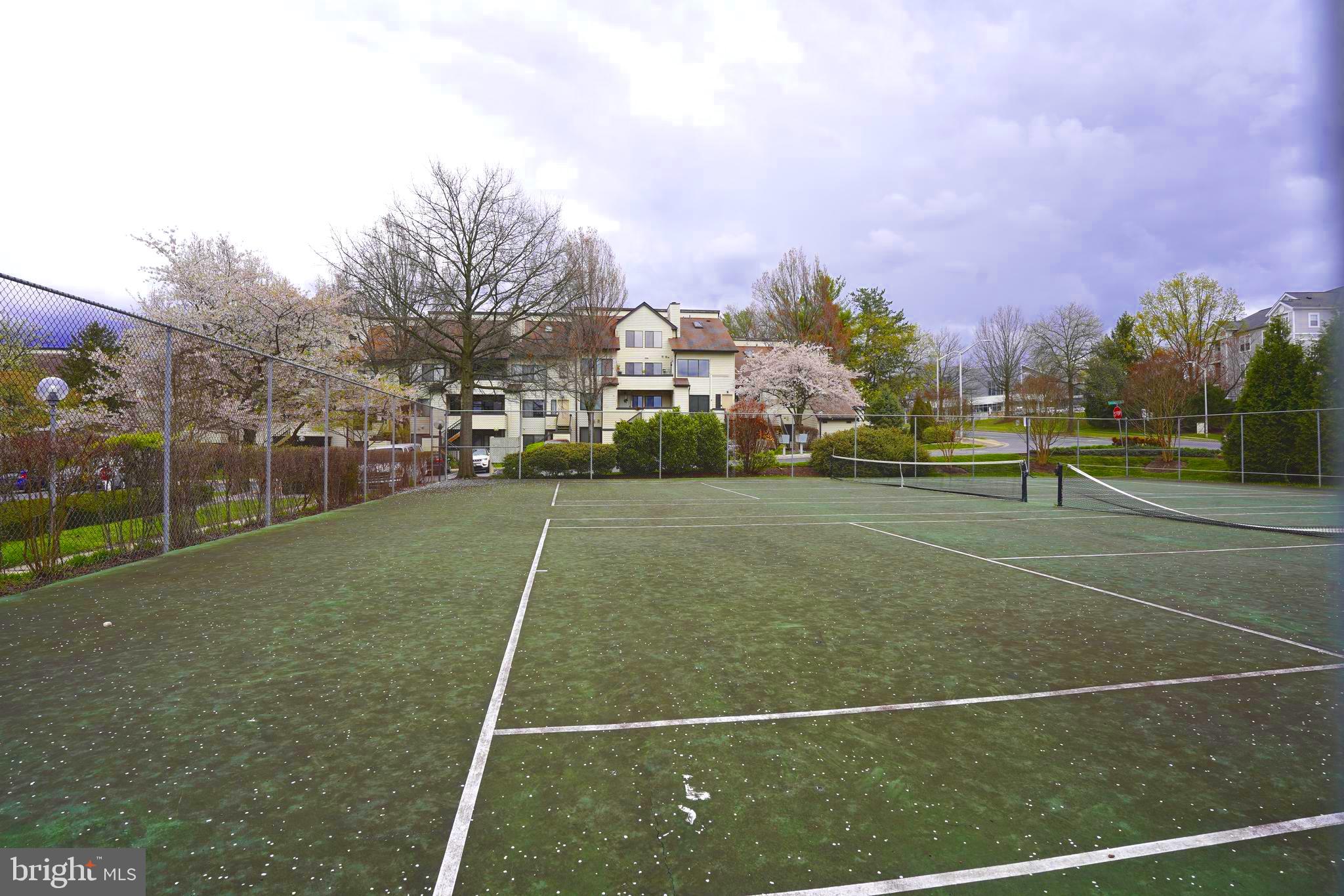 18525 BOYSENBERRY DRIVE 259-183