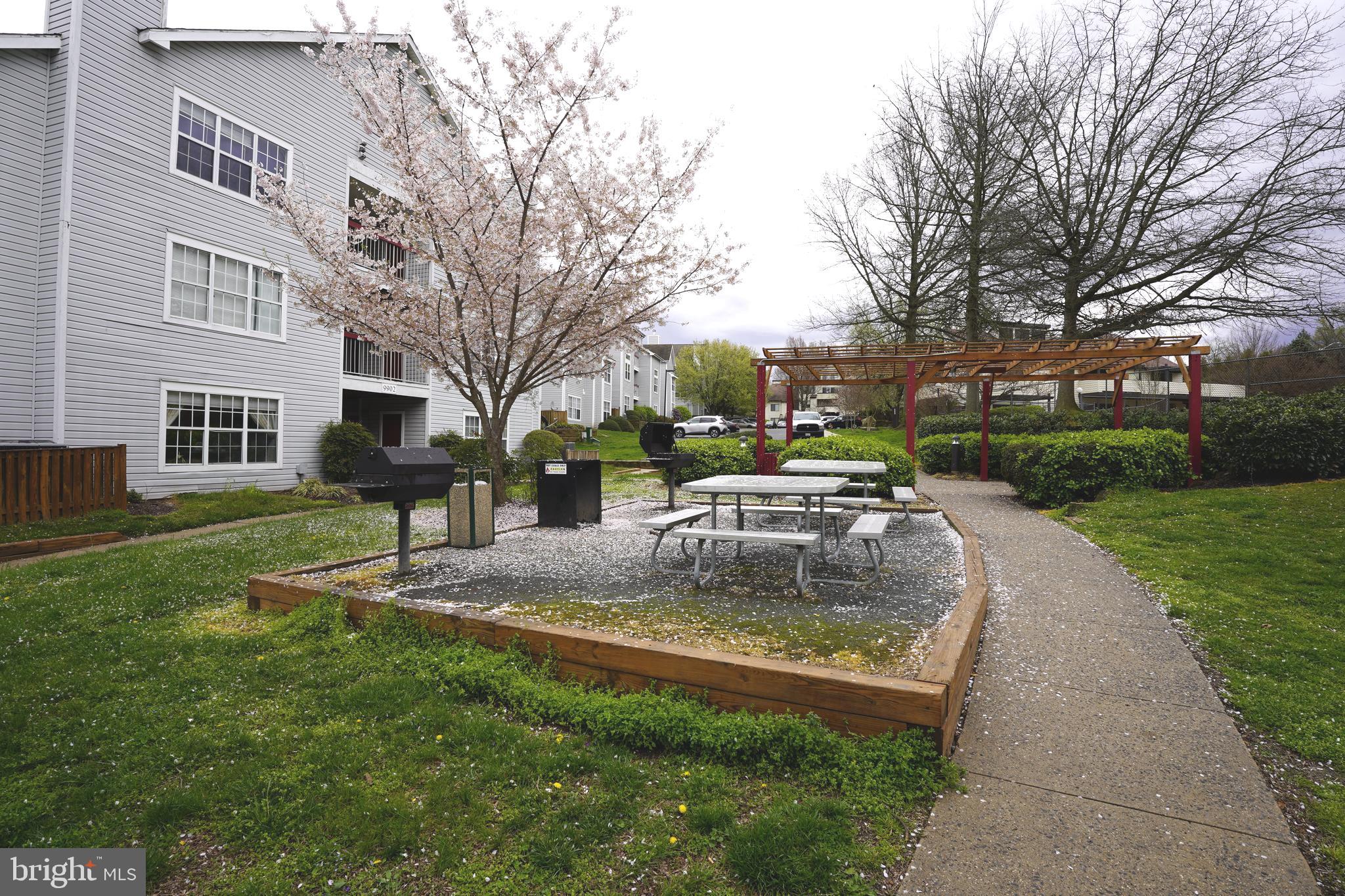 18525 BOYSENBERRY DRIVE 259-183