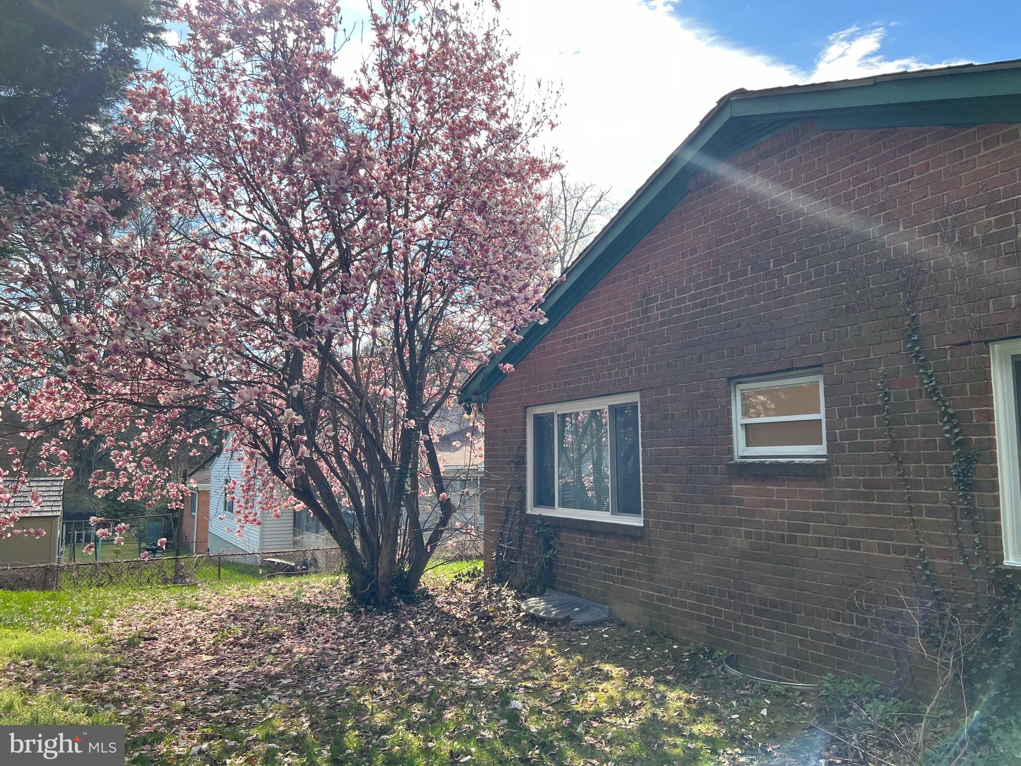 1207 BALLARD STREET