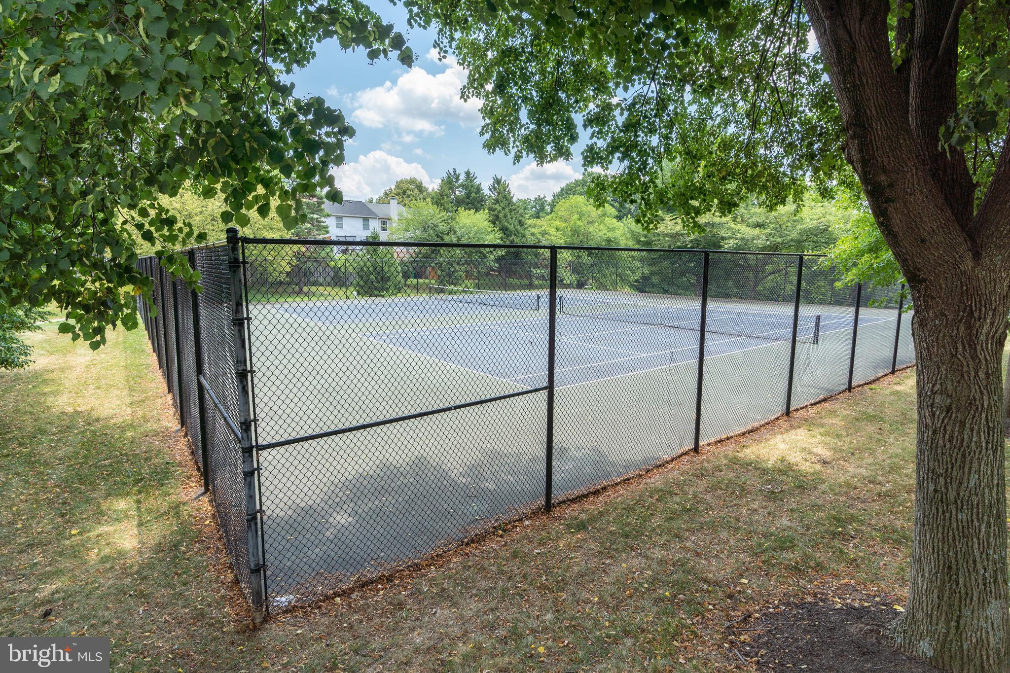 303 PALMSPRING DRIVE 5