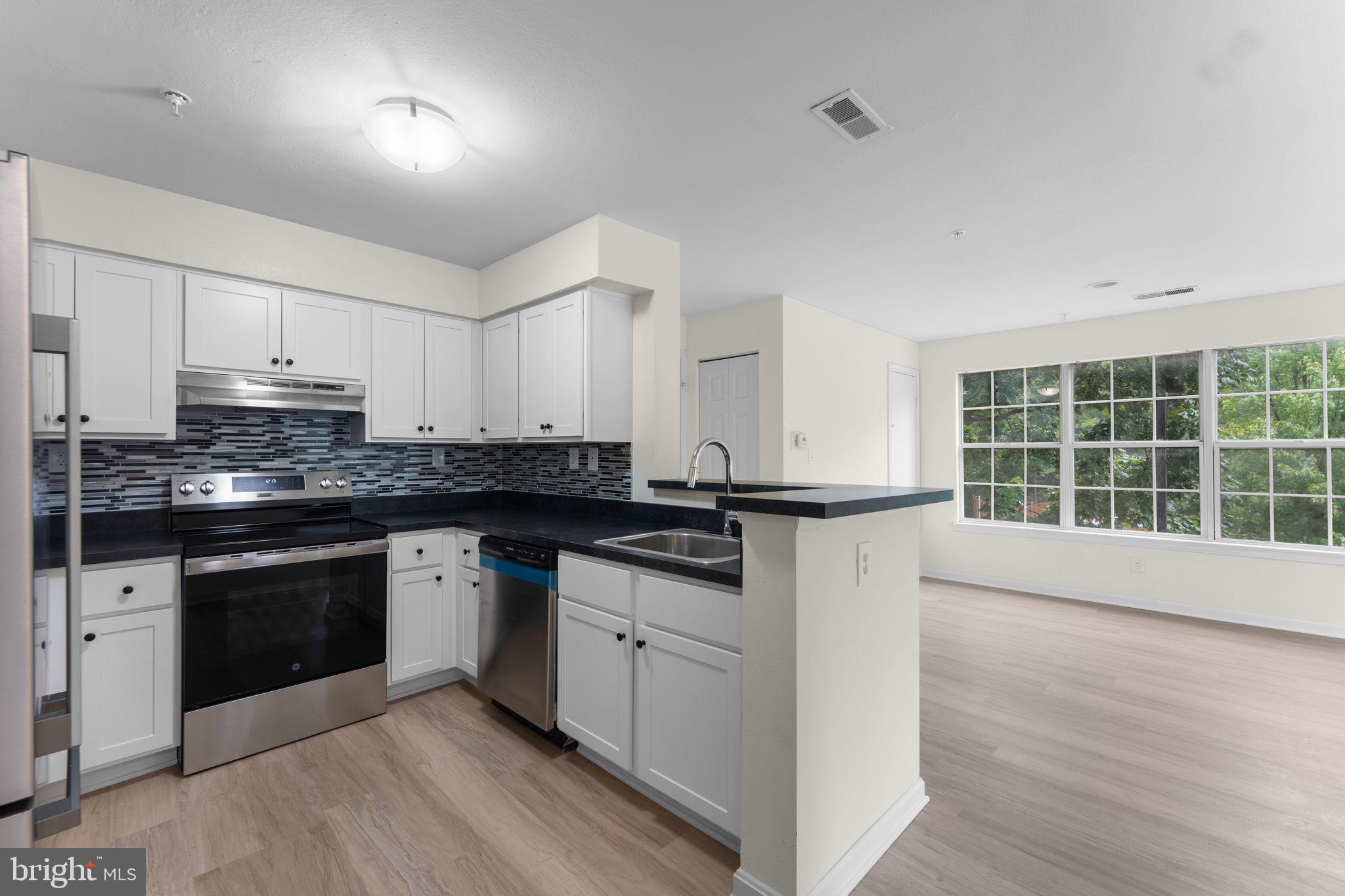 18520 BOYSENBERRY DRIVE 229-165