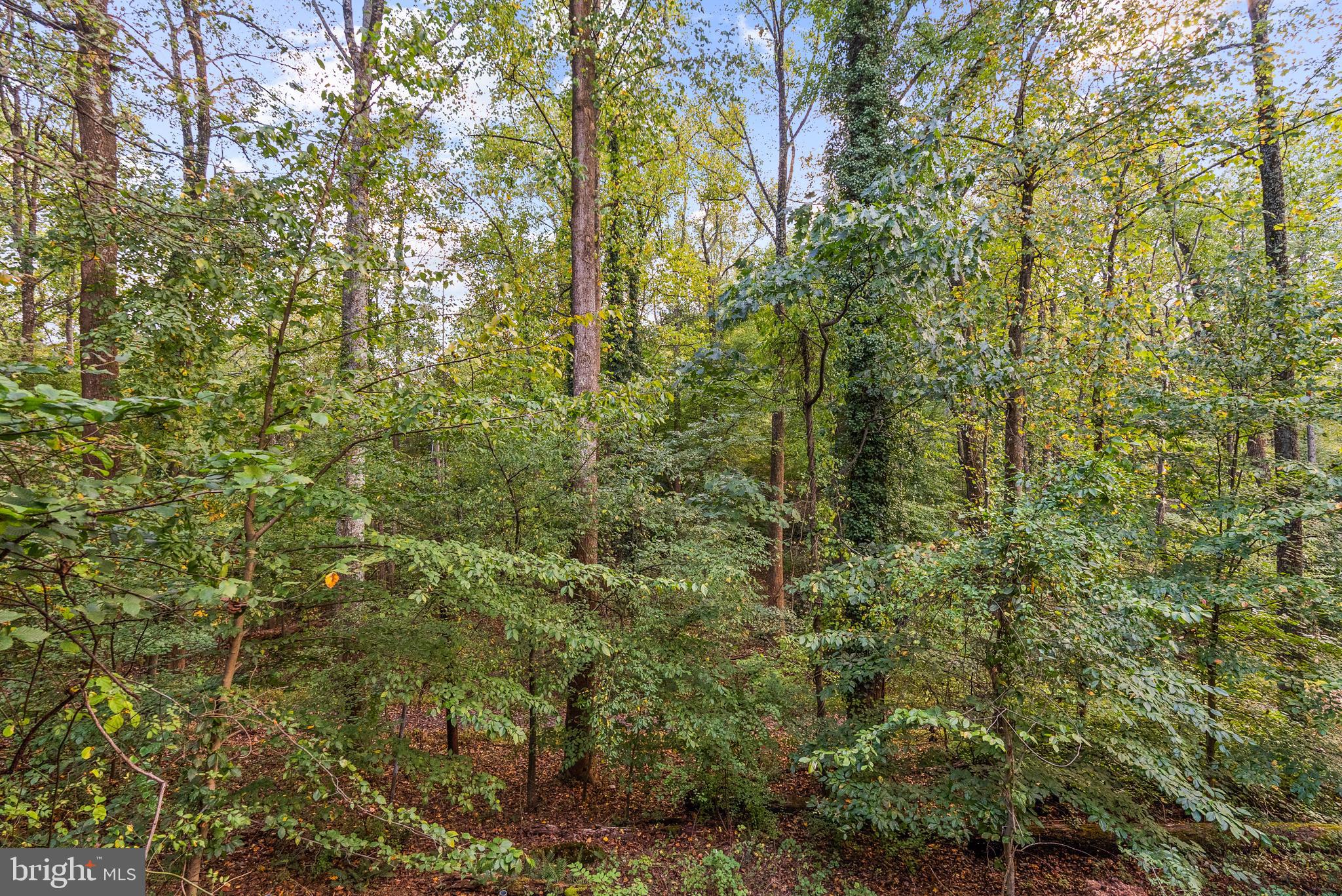 6508 TALL TREE TERRACE