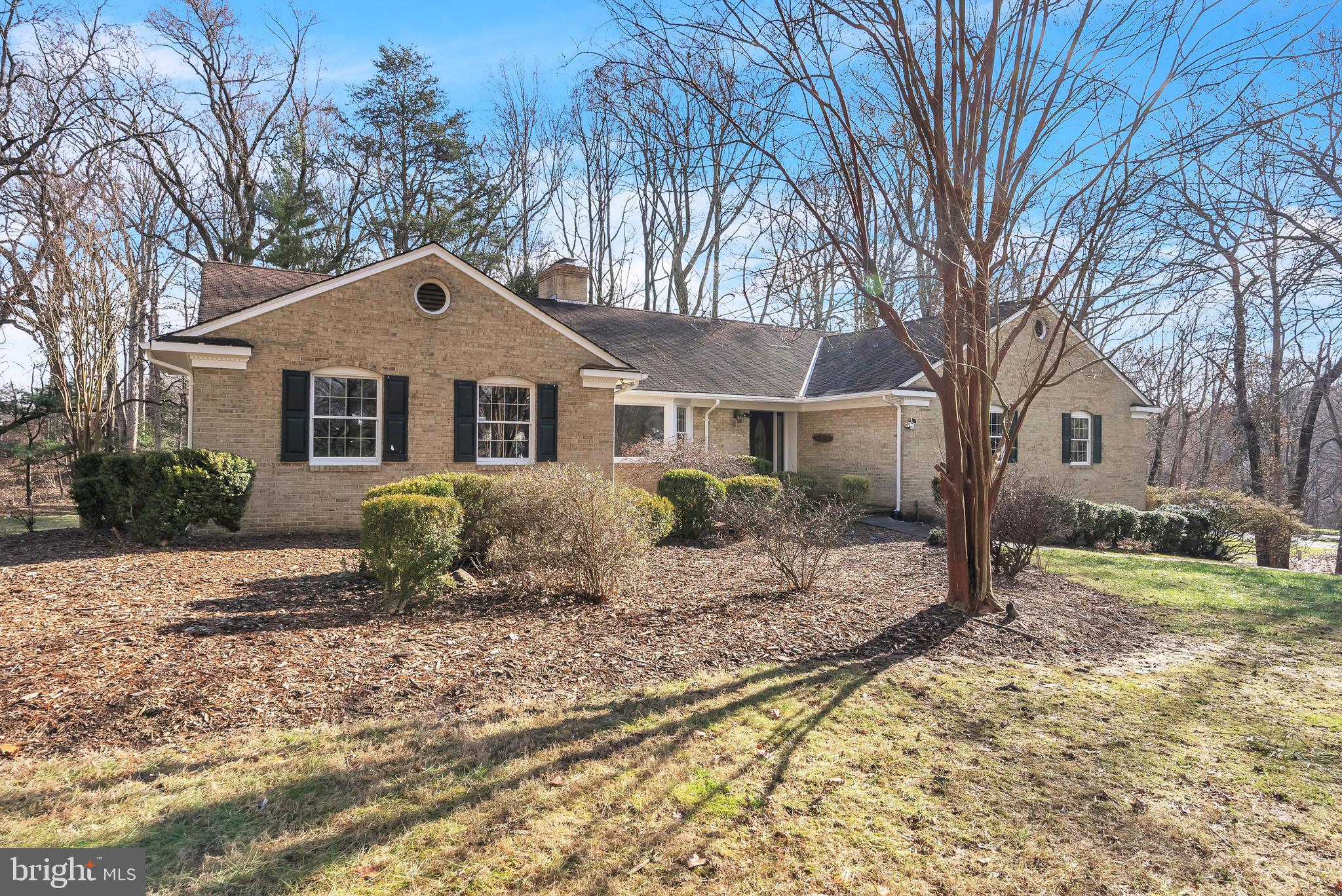 8616 CHATEAU DRIVE