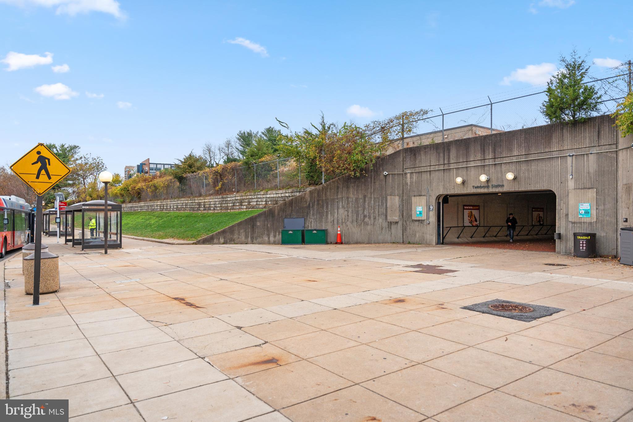 6426 NEEDLE LEAF DRIVE