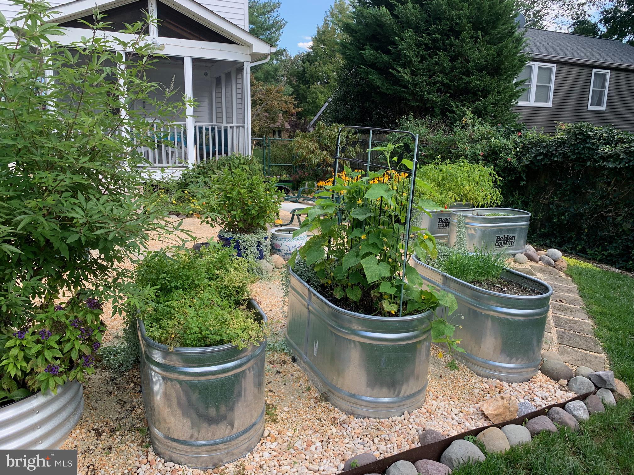 17224 BLOSSOM VIEW DRIVE