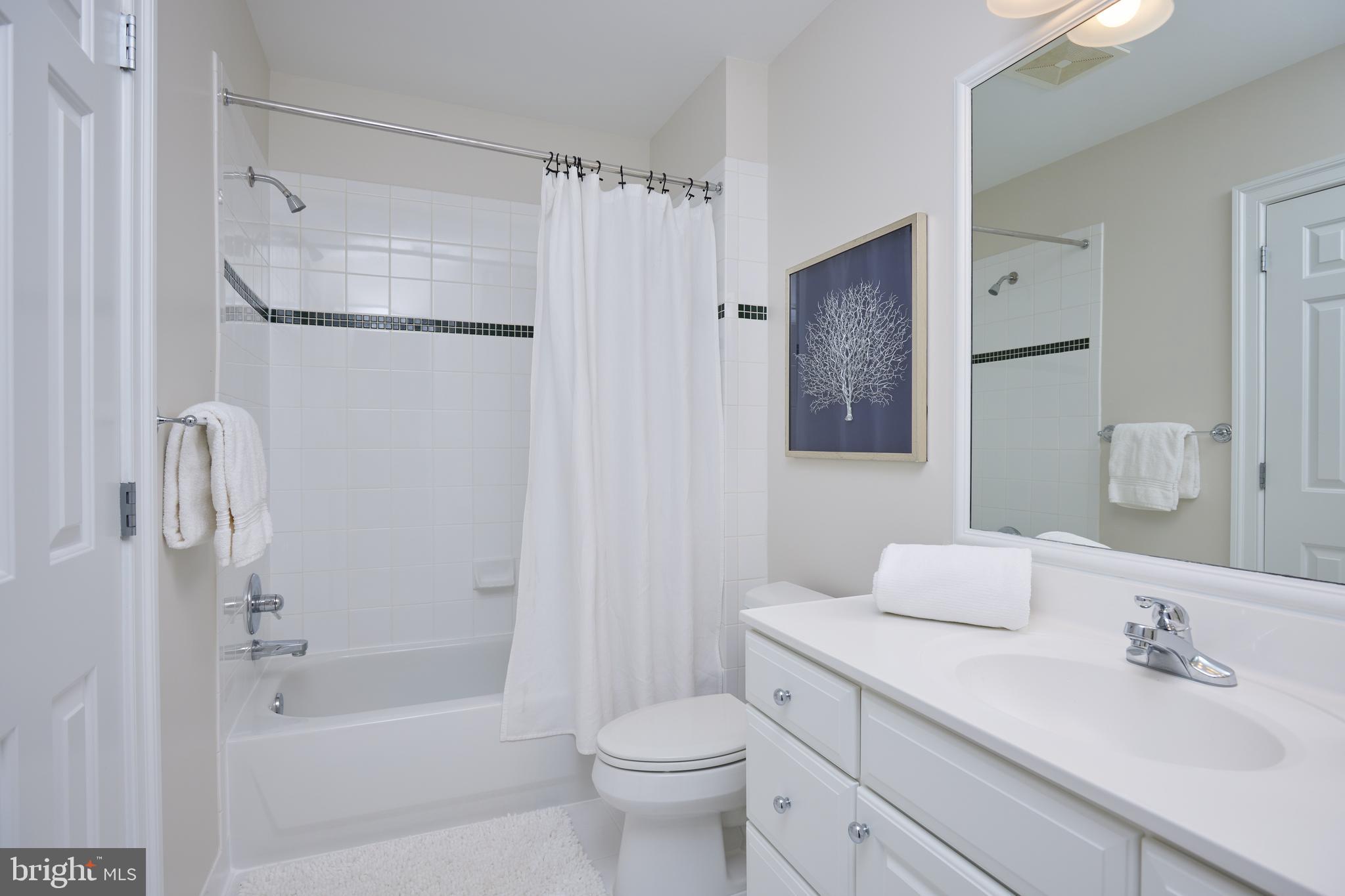 3316 SHEPHERD STREET