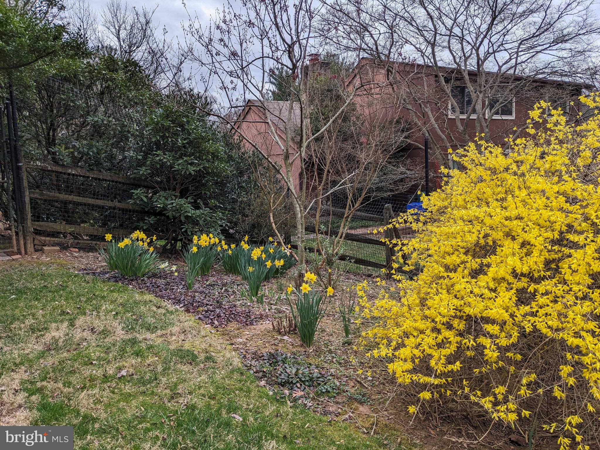 11605 HAPPY CHOICE LANE