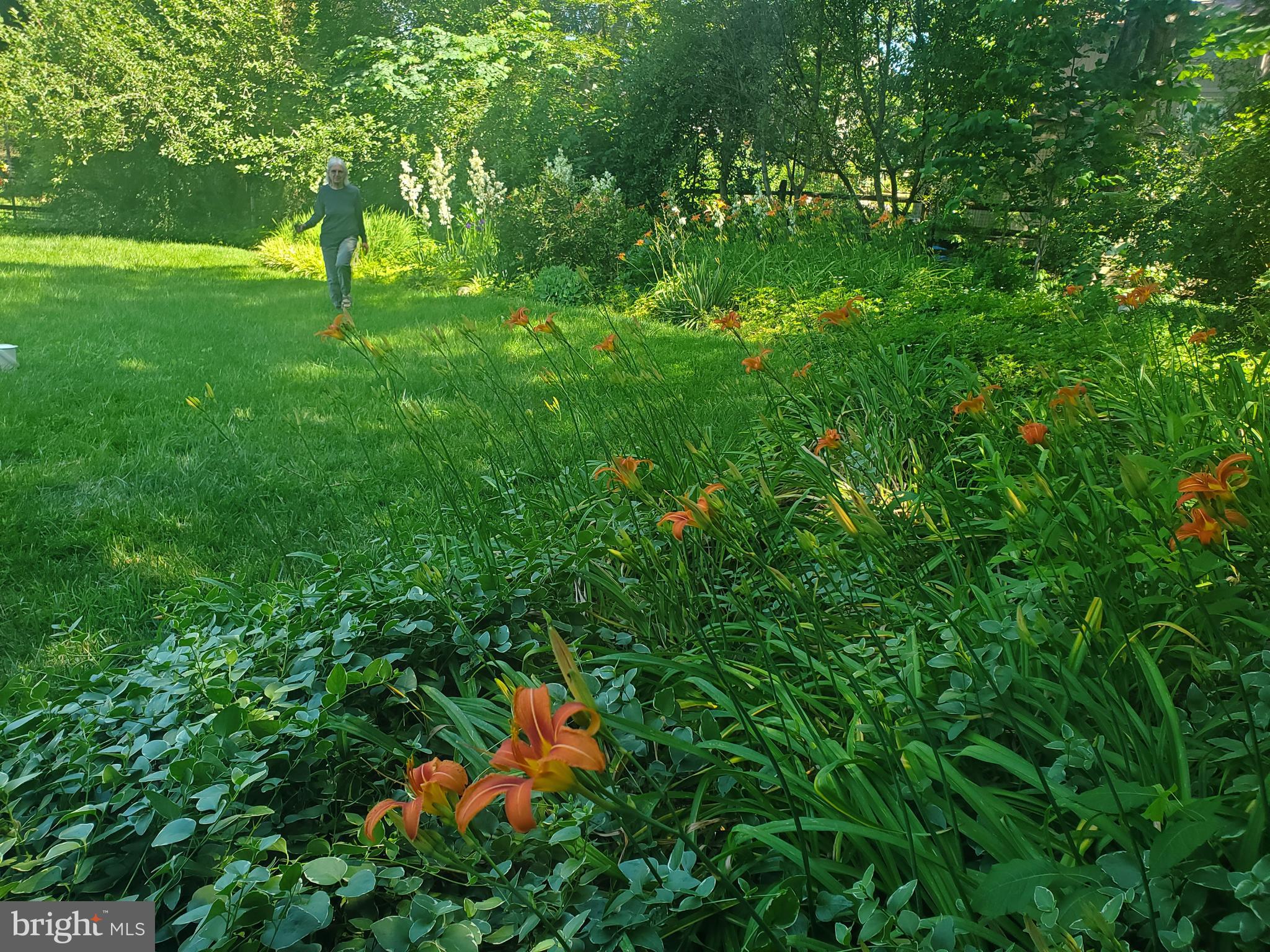 11605 HAPPY CHOICE LANE