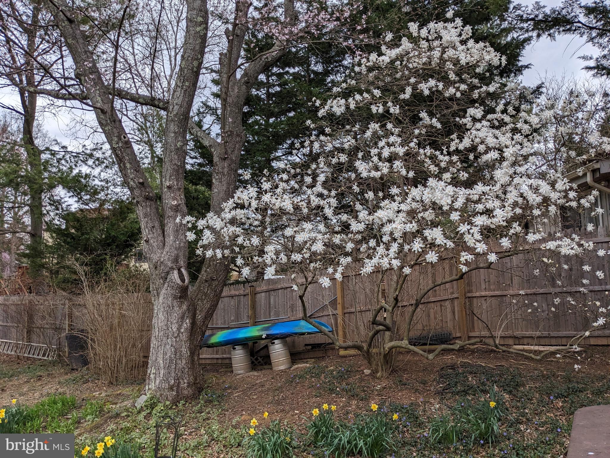 11605 HAPPY CHOICE LANE