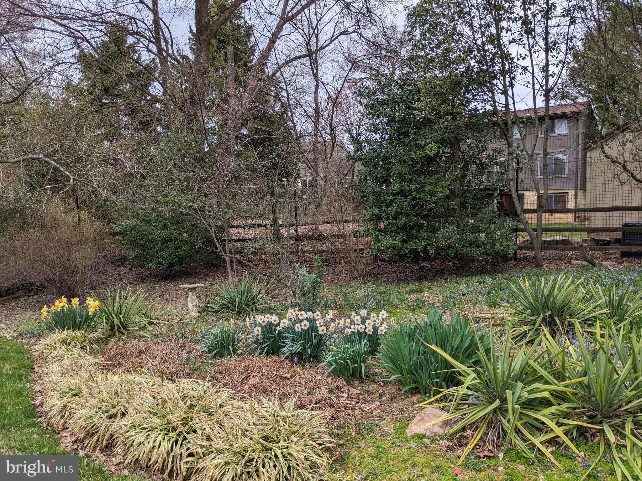 11605 HAPPY CHOICE LANE