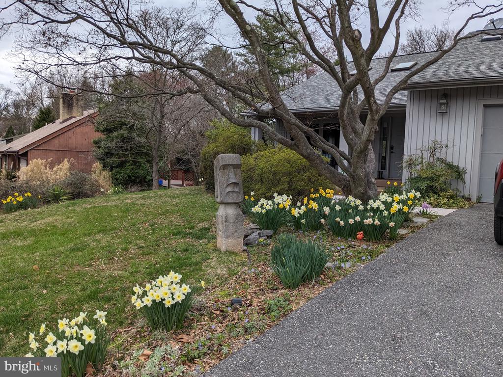 11605 HAPPY CHOICE LANE