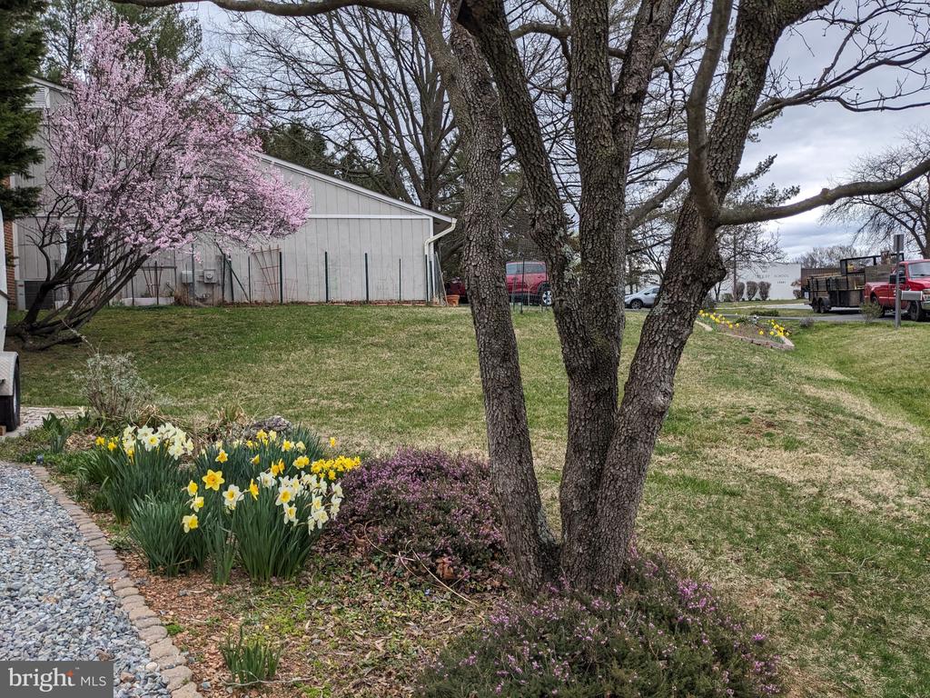 11605 HAPPY CHOICE LANE