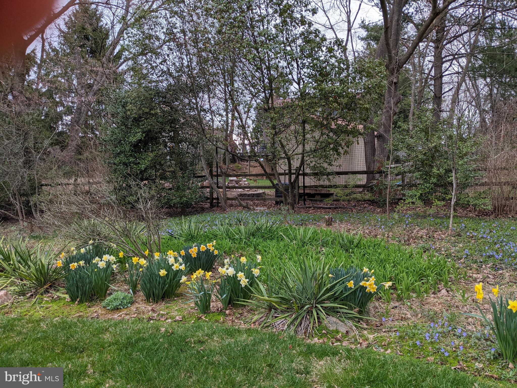 11605 HAPPY CHOICE LANE