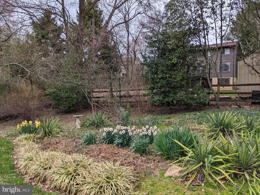 11605 HAPPY CHOICE LANE