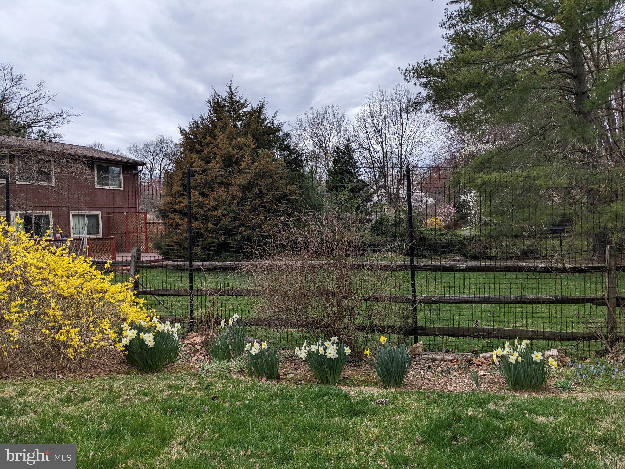 11605 HAPPY CHOICE LANE