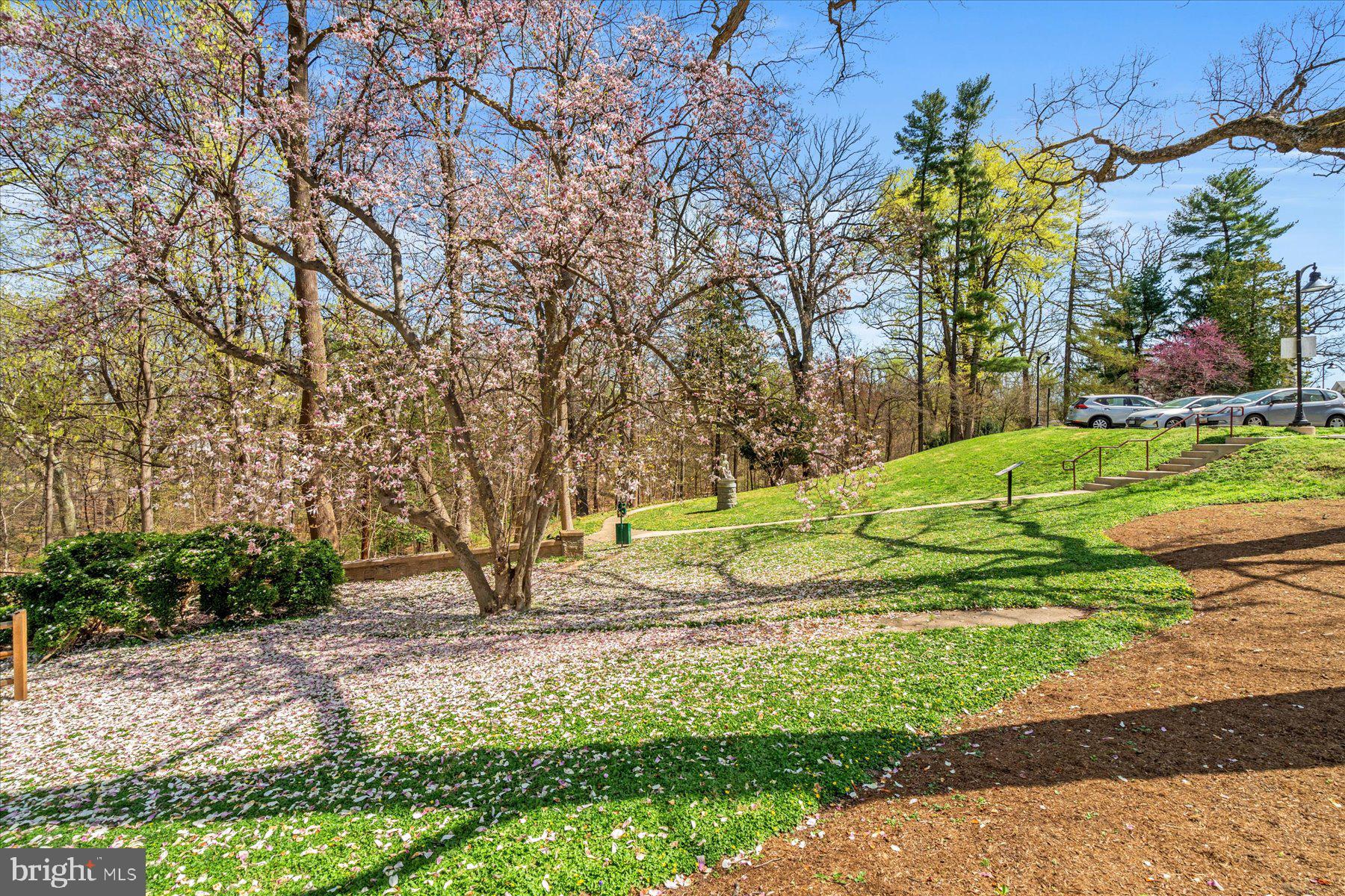 9610 DEWITT DRIVE SH307