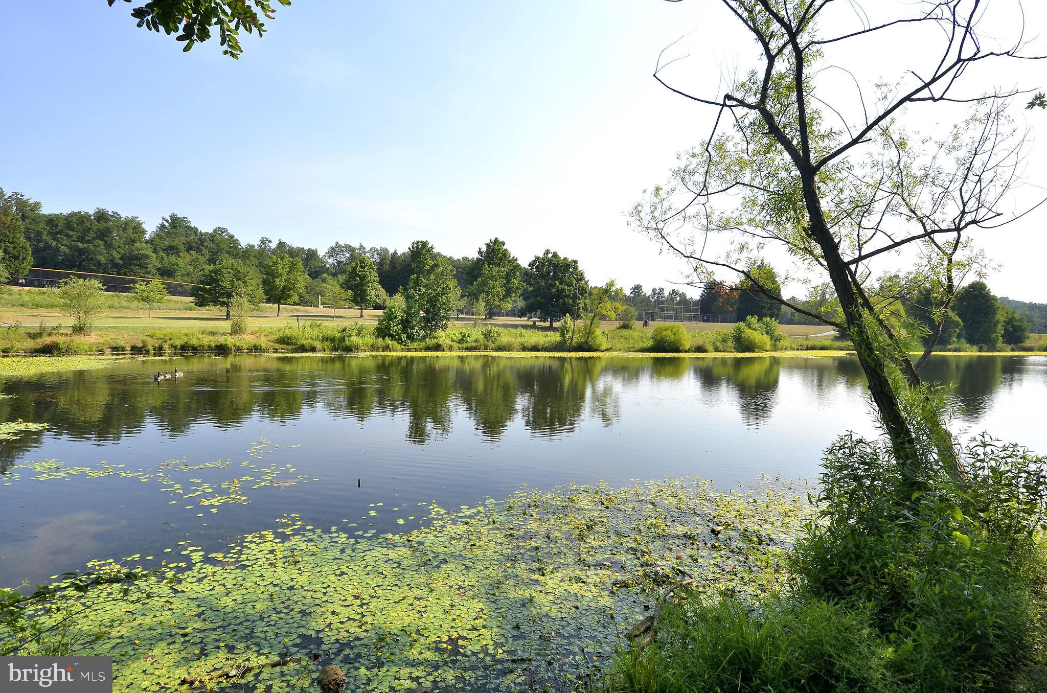 13833 CASTLE CLIFF WAY