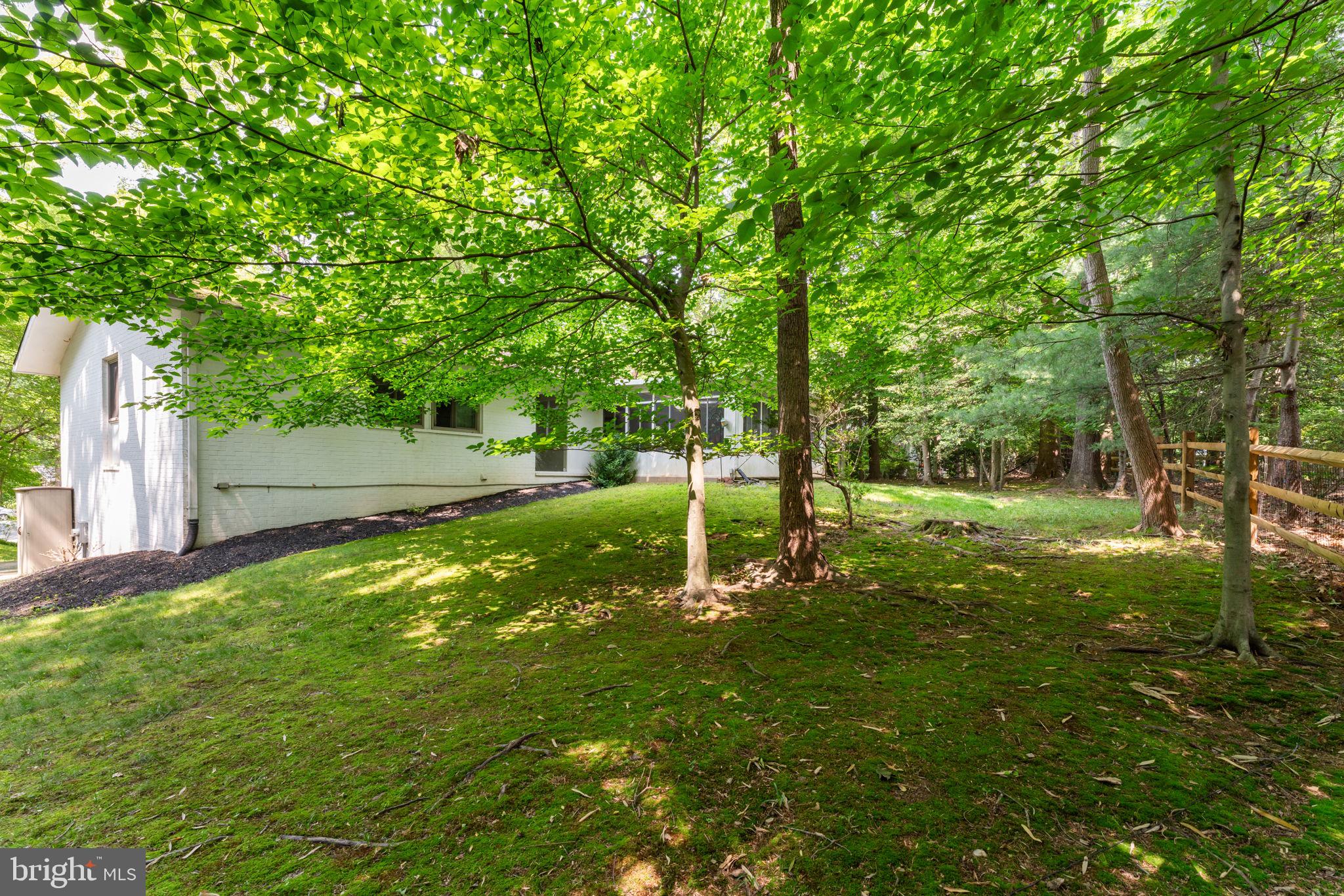 8207 LILLY STONE DRIVE