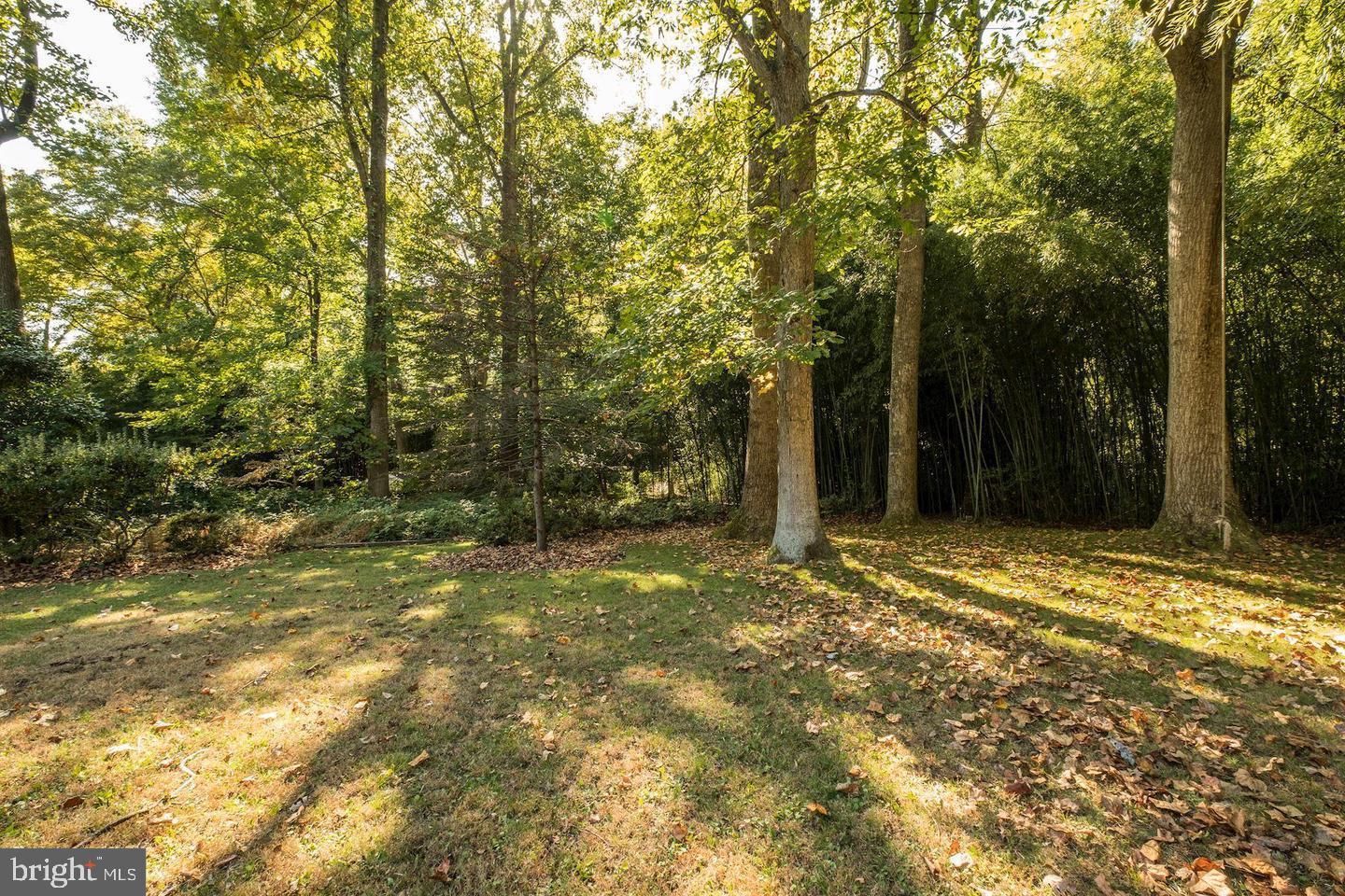 6710 PERSIMMON TREE ROAD