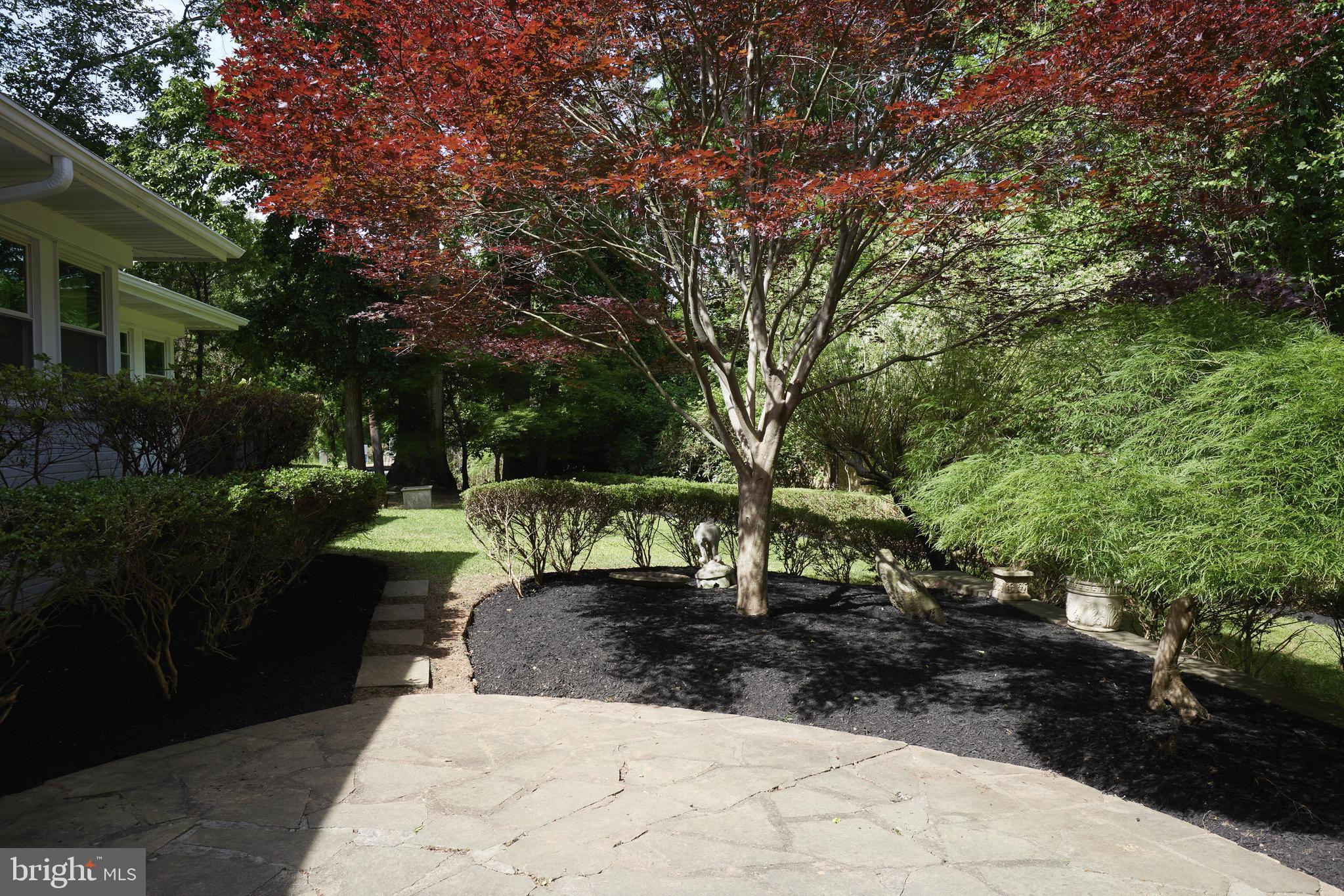 7415 BRADLEY BOULEVARD