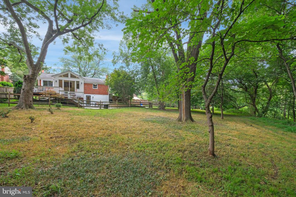 11513 ASHLEY DRIVE