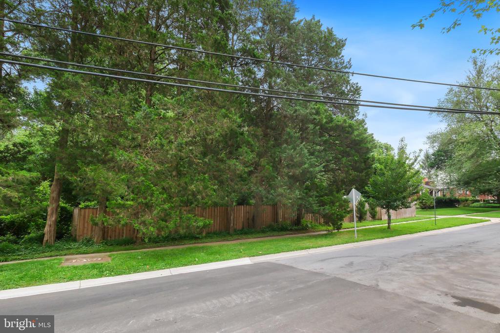 11513 ASHLEY DRIVE