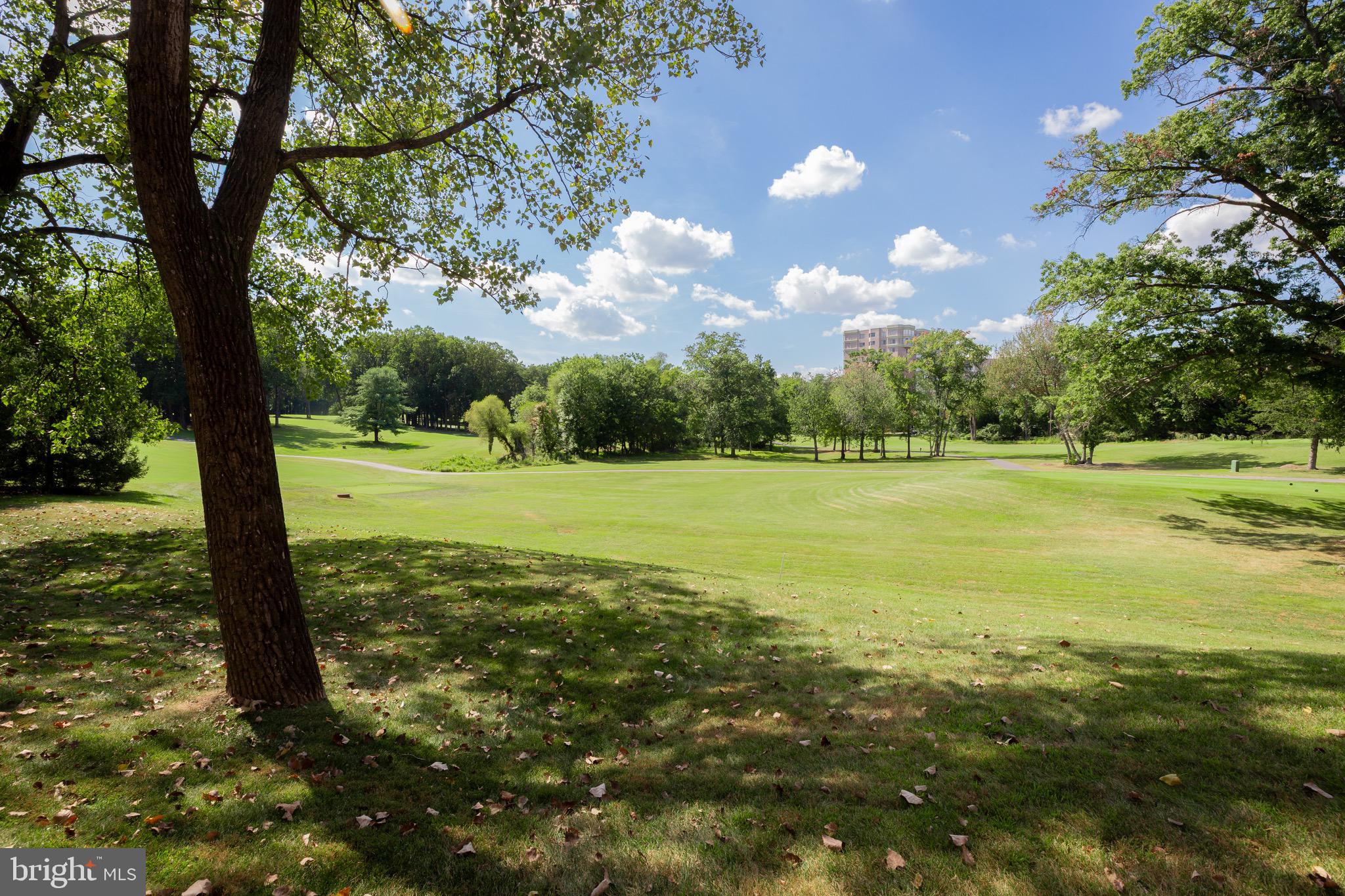 2904 N LEISURE WORLD BOULEVARD 406