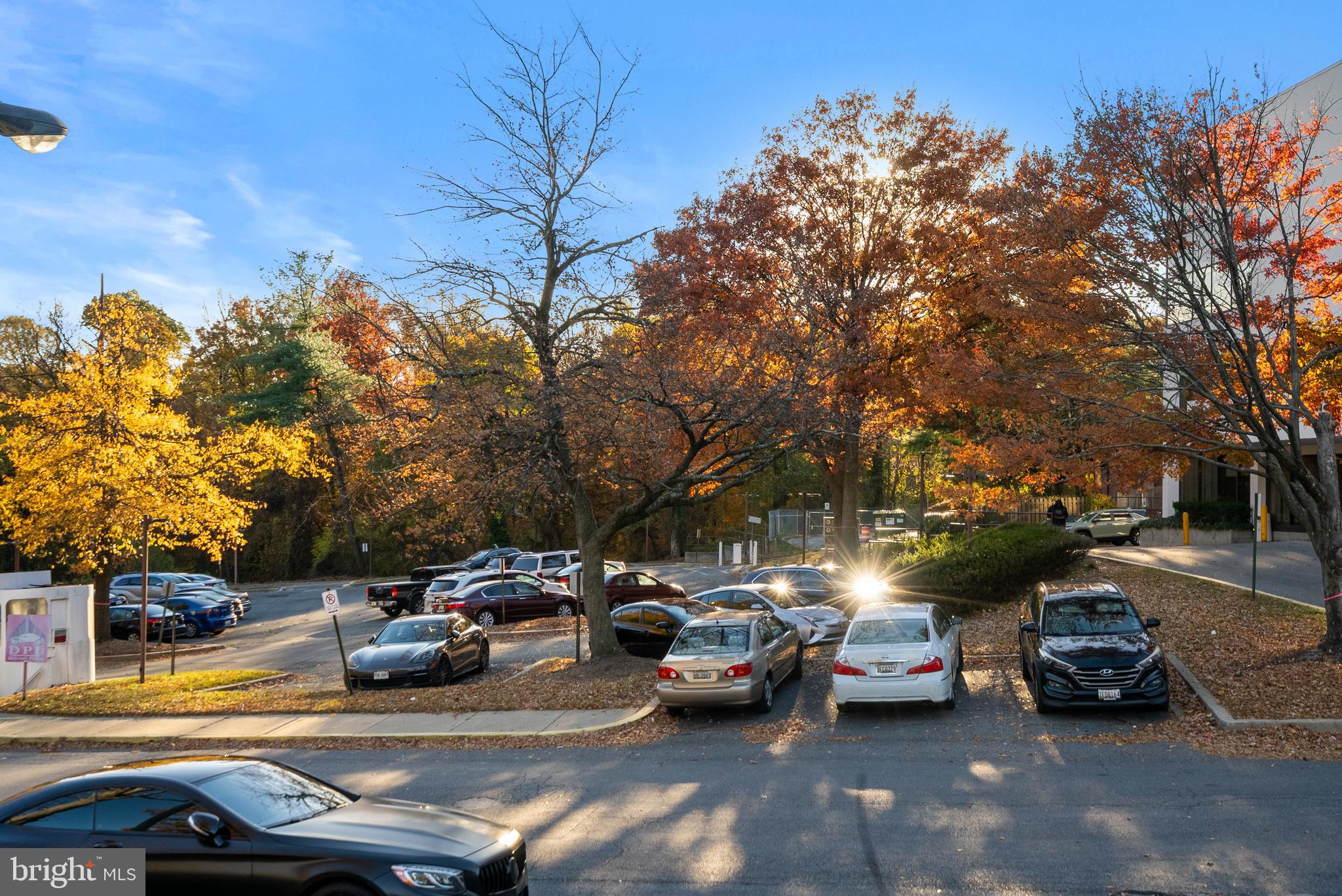 7610 CARROLL AVENUE 310