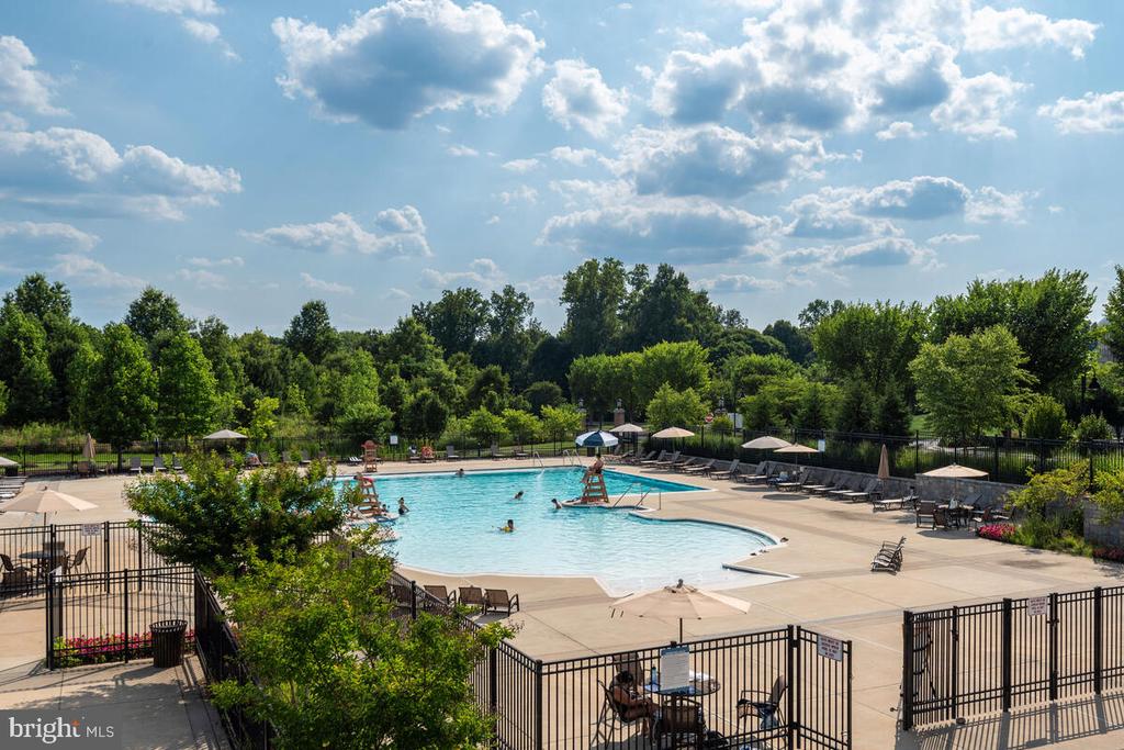 241 GOODALL STREET