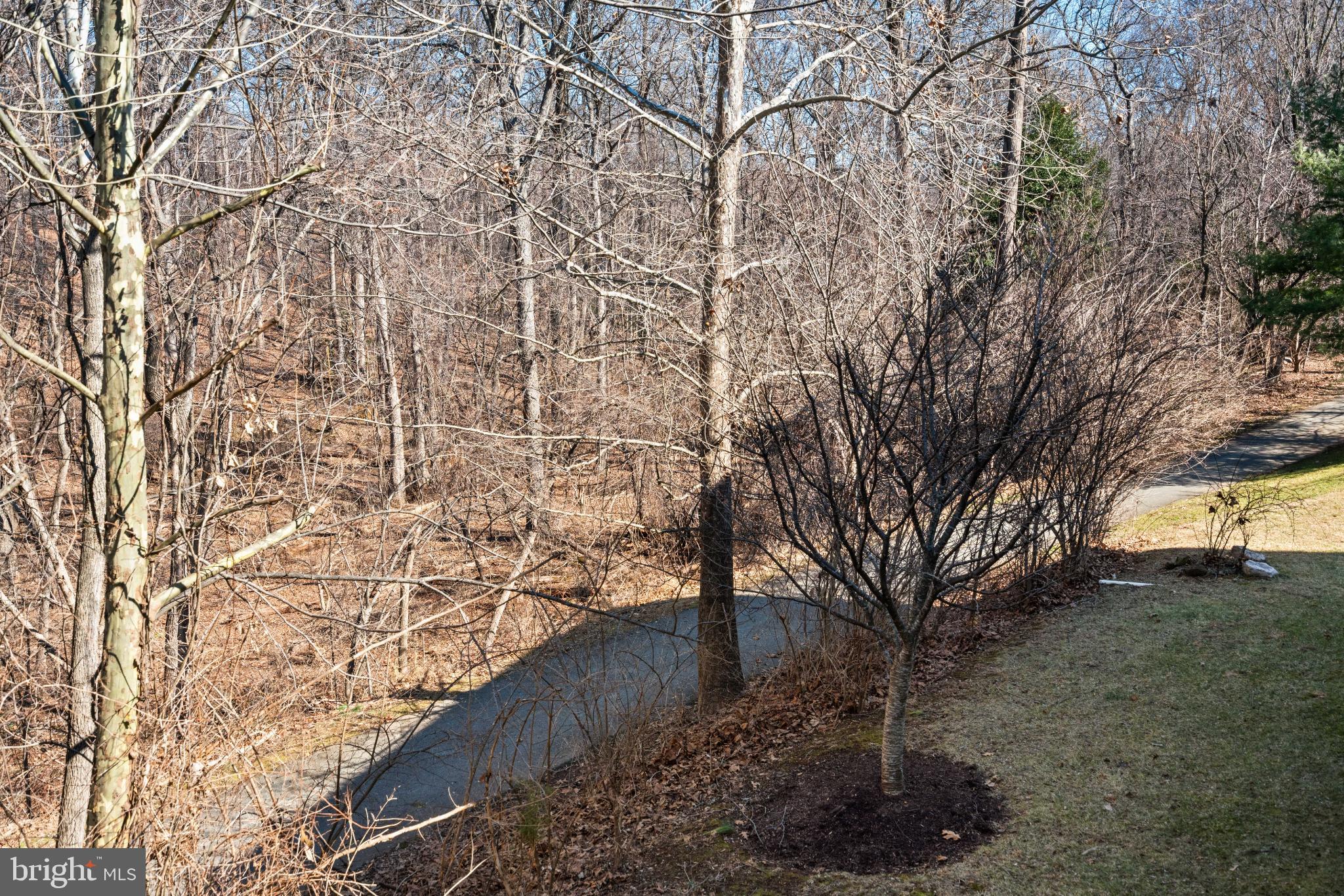 509 OAK KNOLL TERRACE