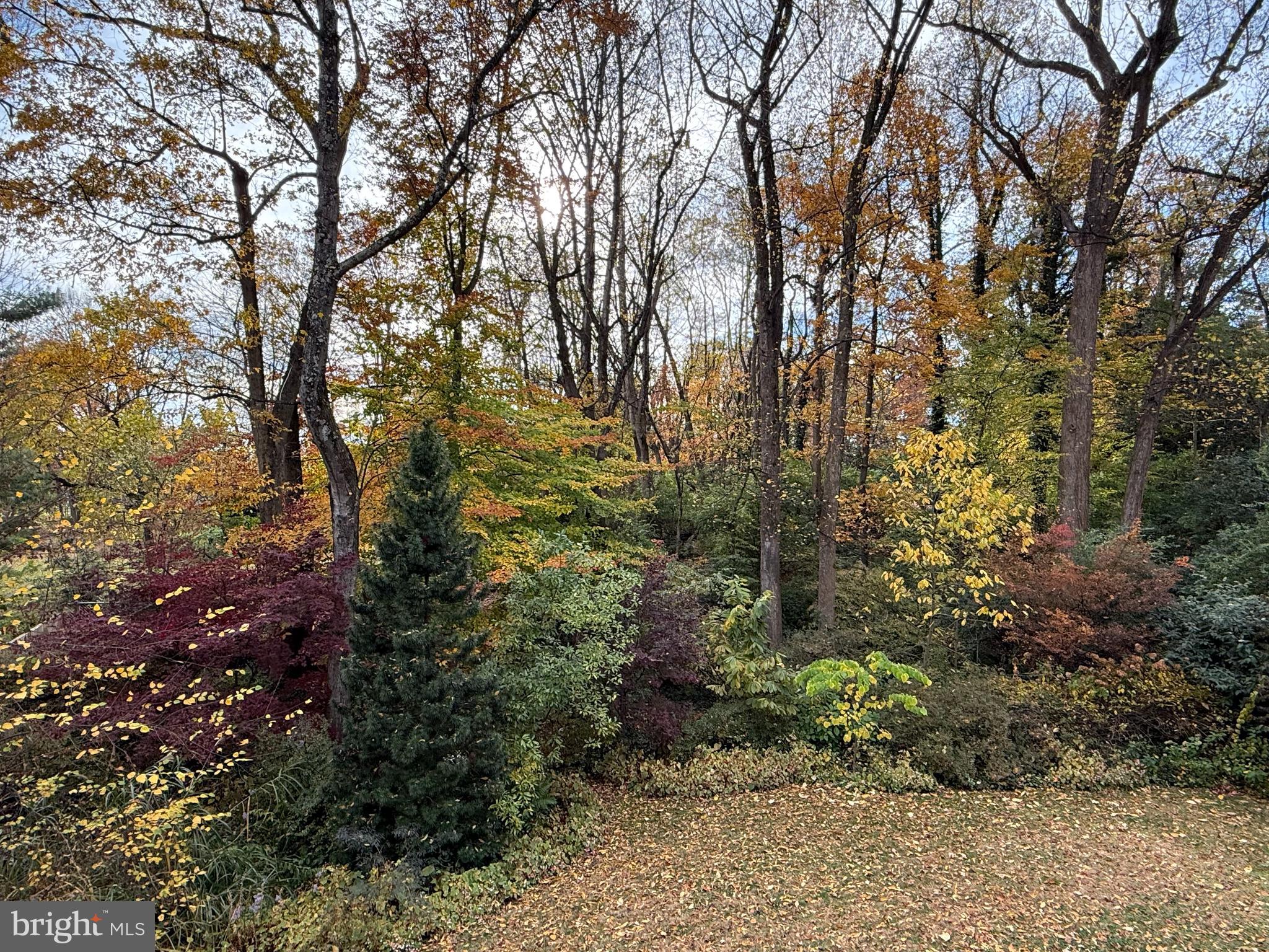 7318 BURDETTE COURT