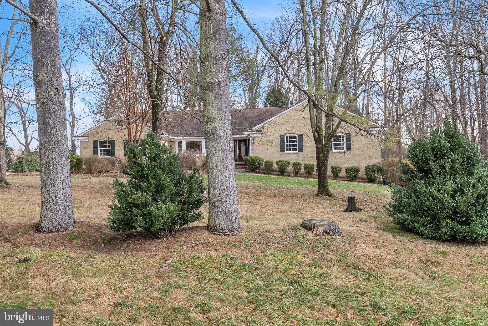 8616 CHATEAU DRIVE