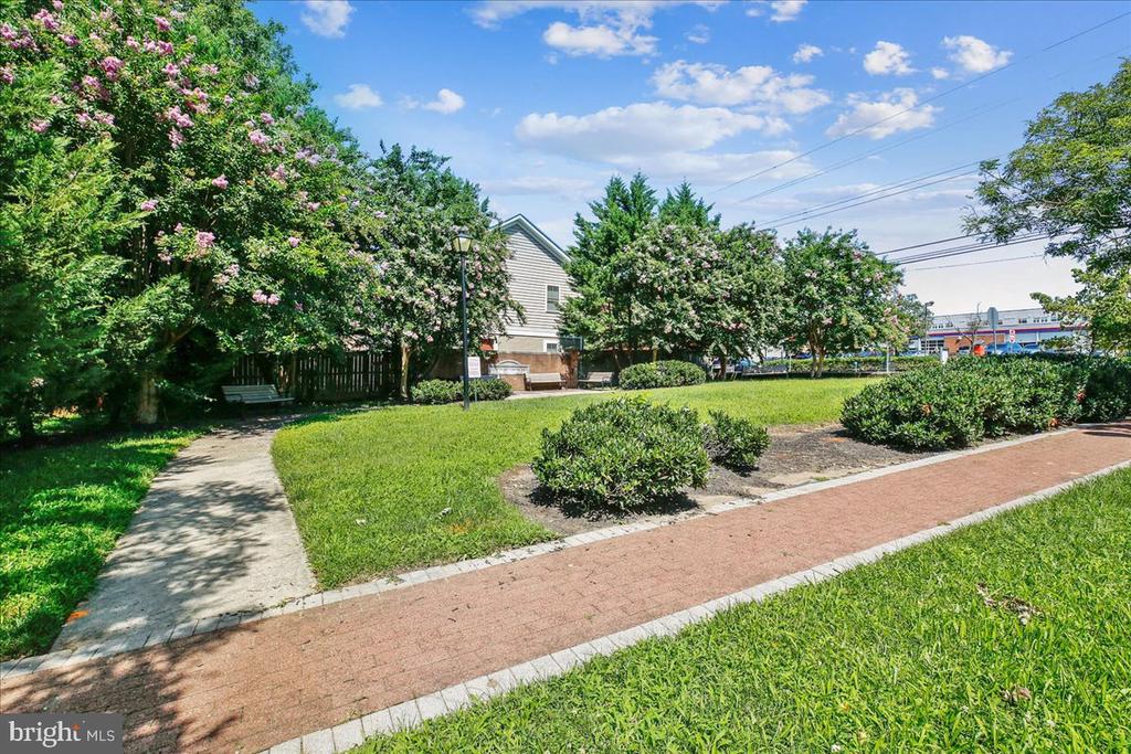 11516 CLAIRMONT VIEW TERRACE