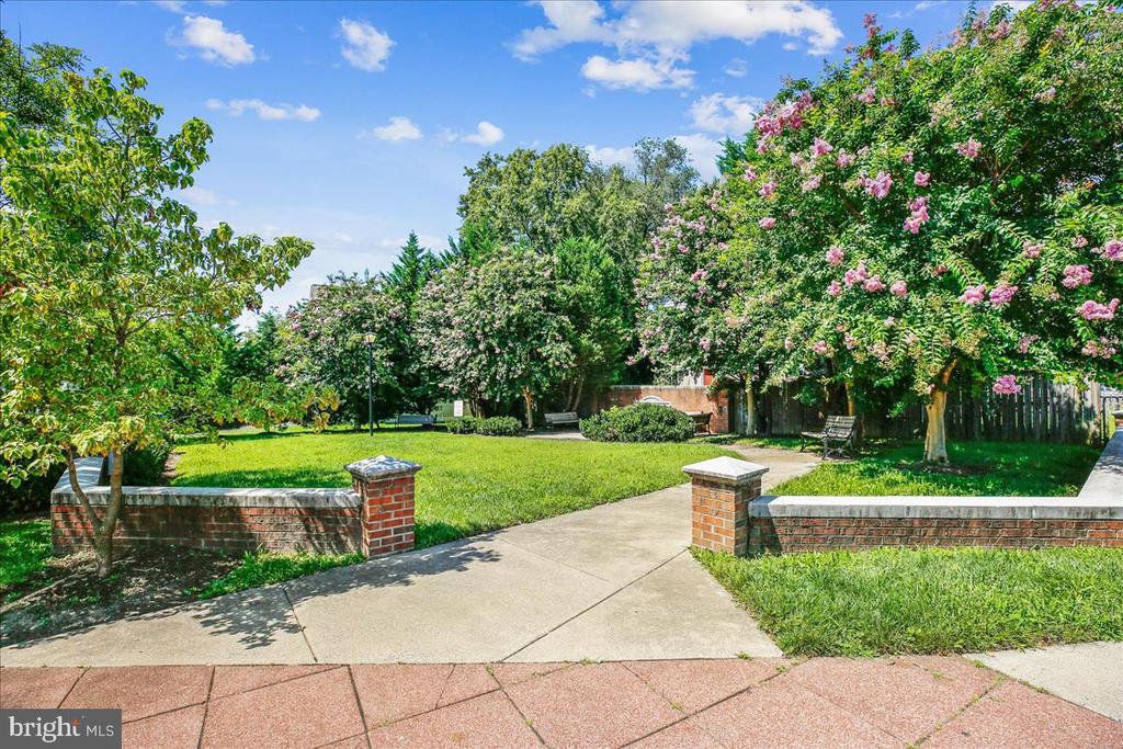 11516 CLAIRMONT VIEW TERRACE