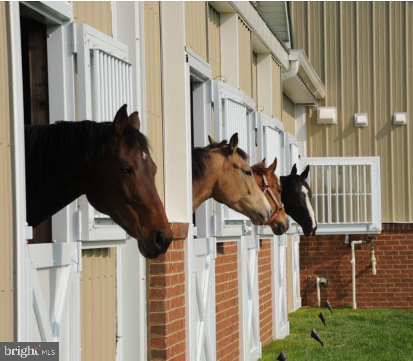 4304 THOROUGHBRED DRIVE