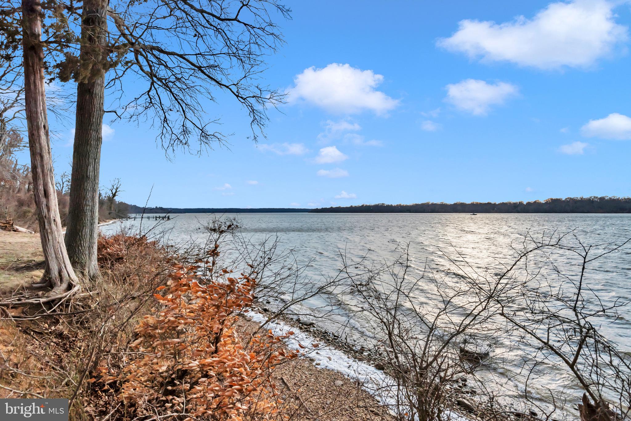 11501 RIVERVIEW ROAD