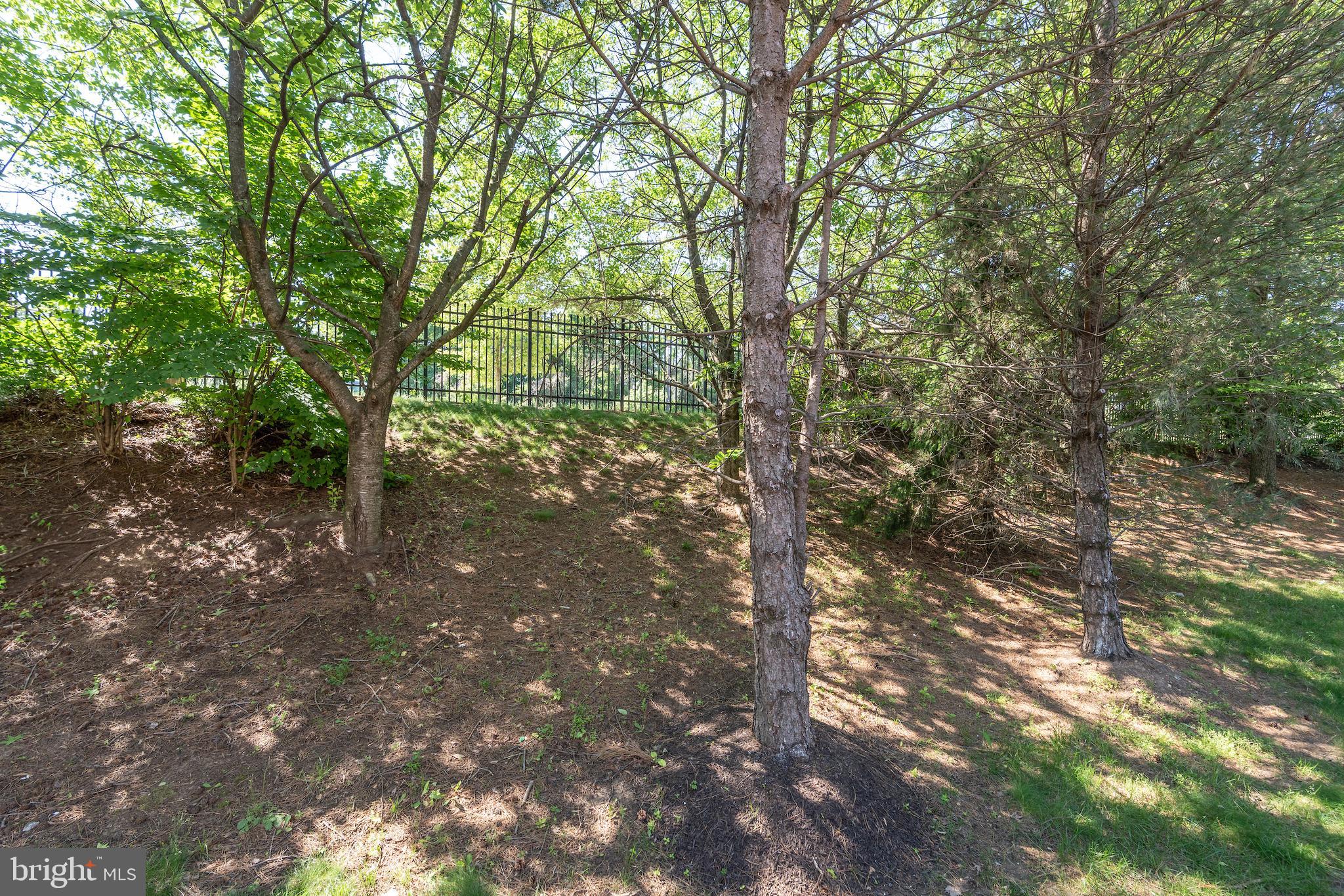 1908 GOLDEN MORNING DRIVE 38