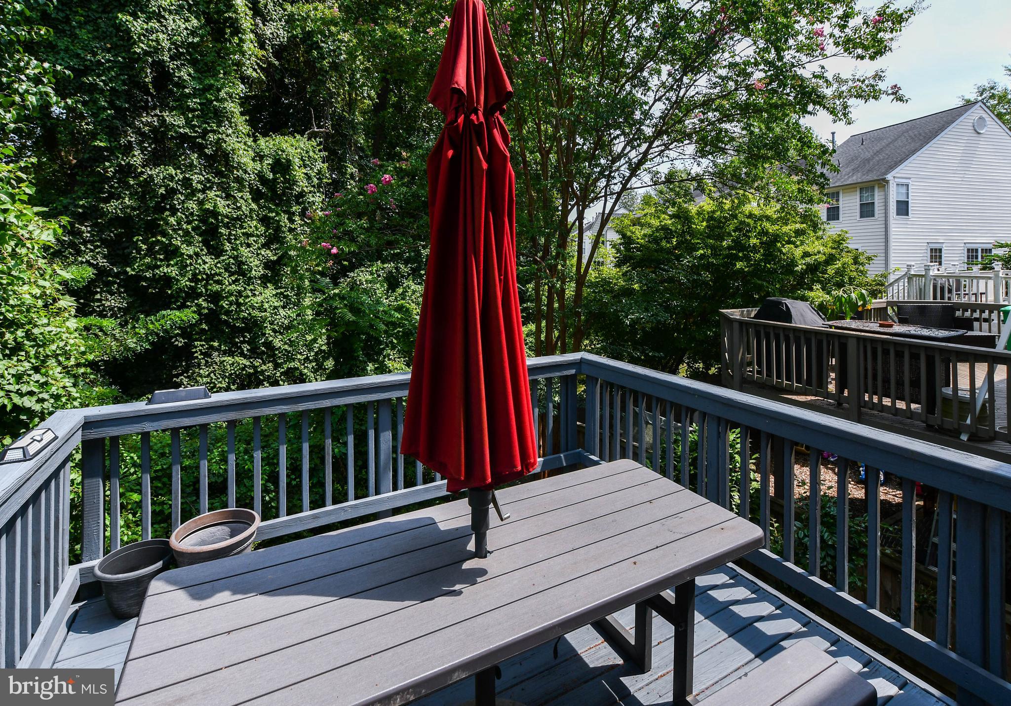 1709 CHINABERRY COURT