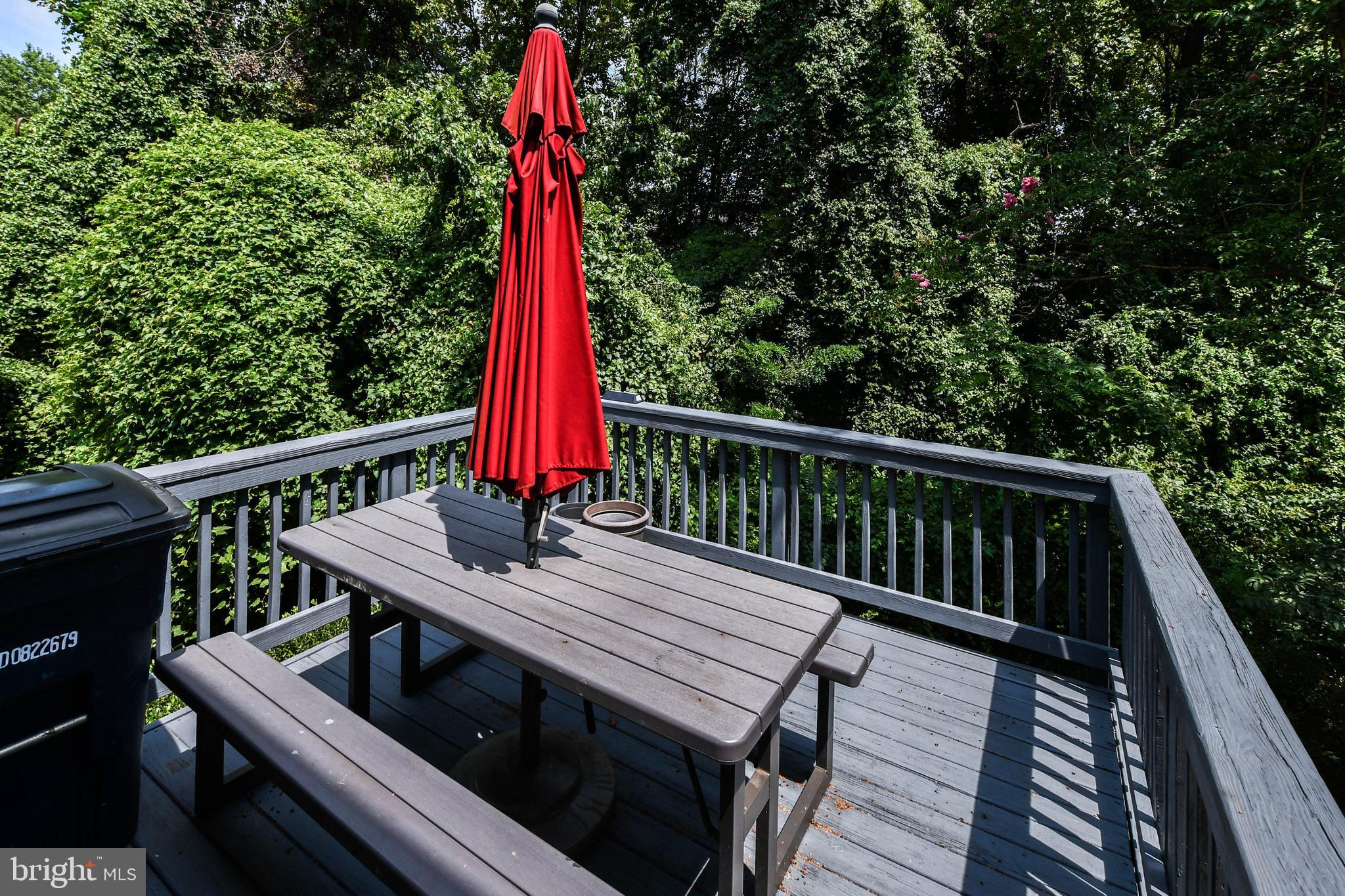 1709 CHINABERRY COURT